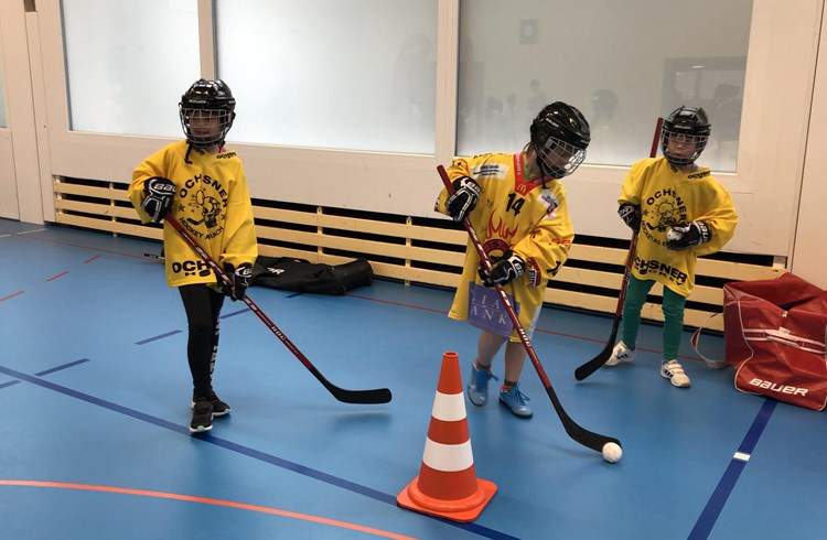Hellbühler Kids bei der Schnupperlektion des Eishockeyverbandes. Foto zVg