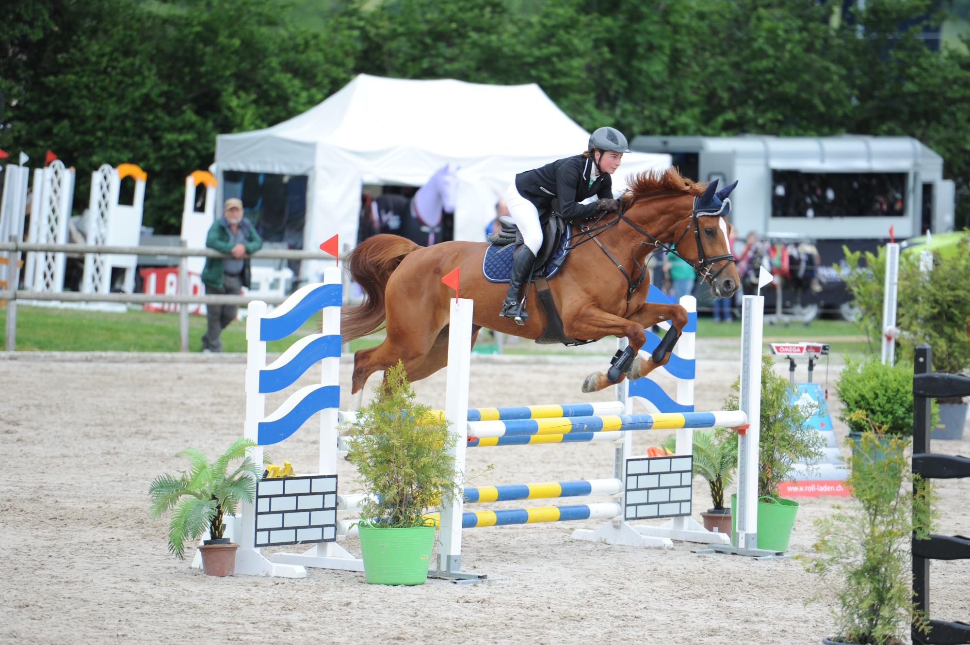 Die Rottaler Pferdesporttage finden dieses Jahr nicht statt. Foto zVg
