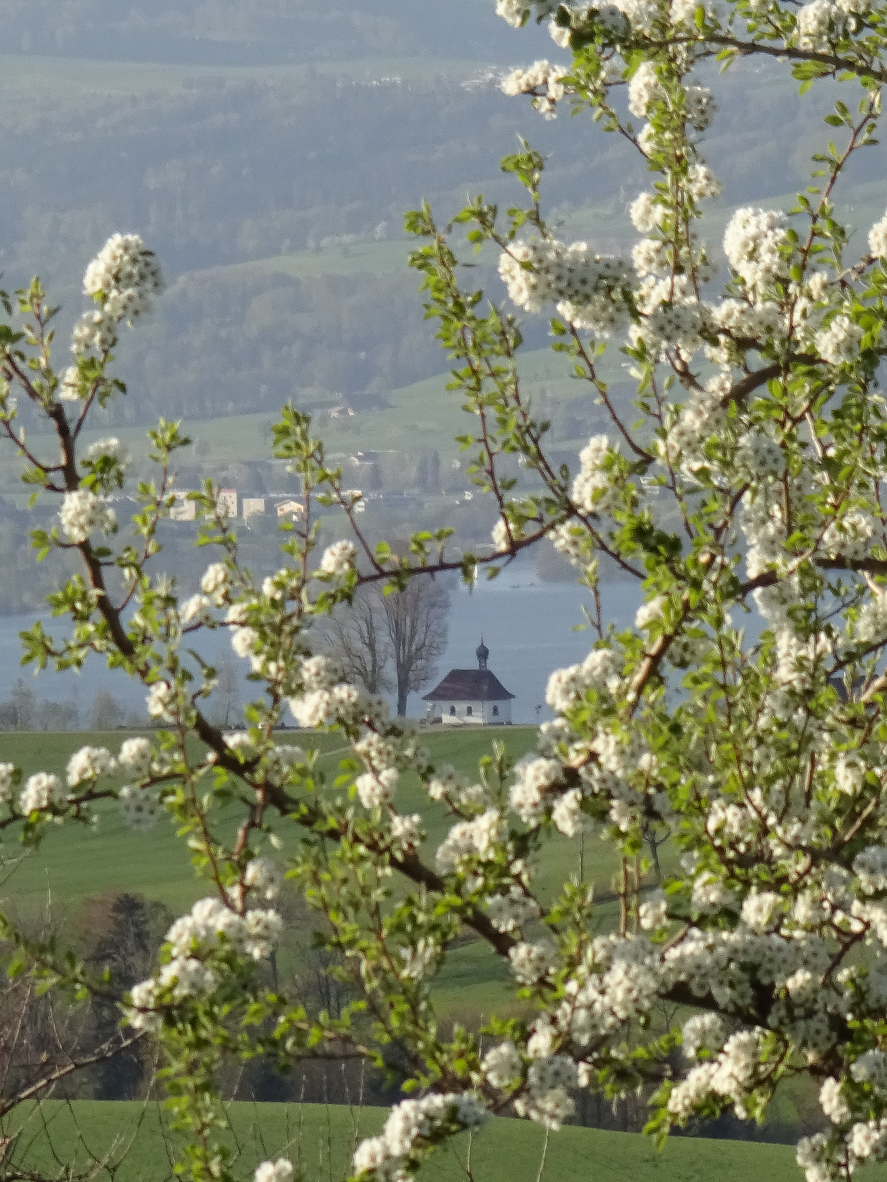 Blick auf die Flüsskapelle | Urs Amrein, Ruswil
