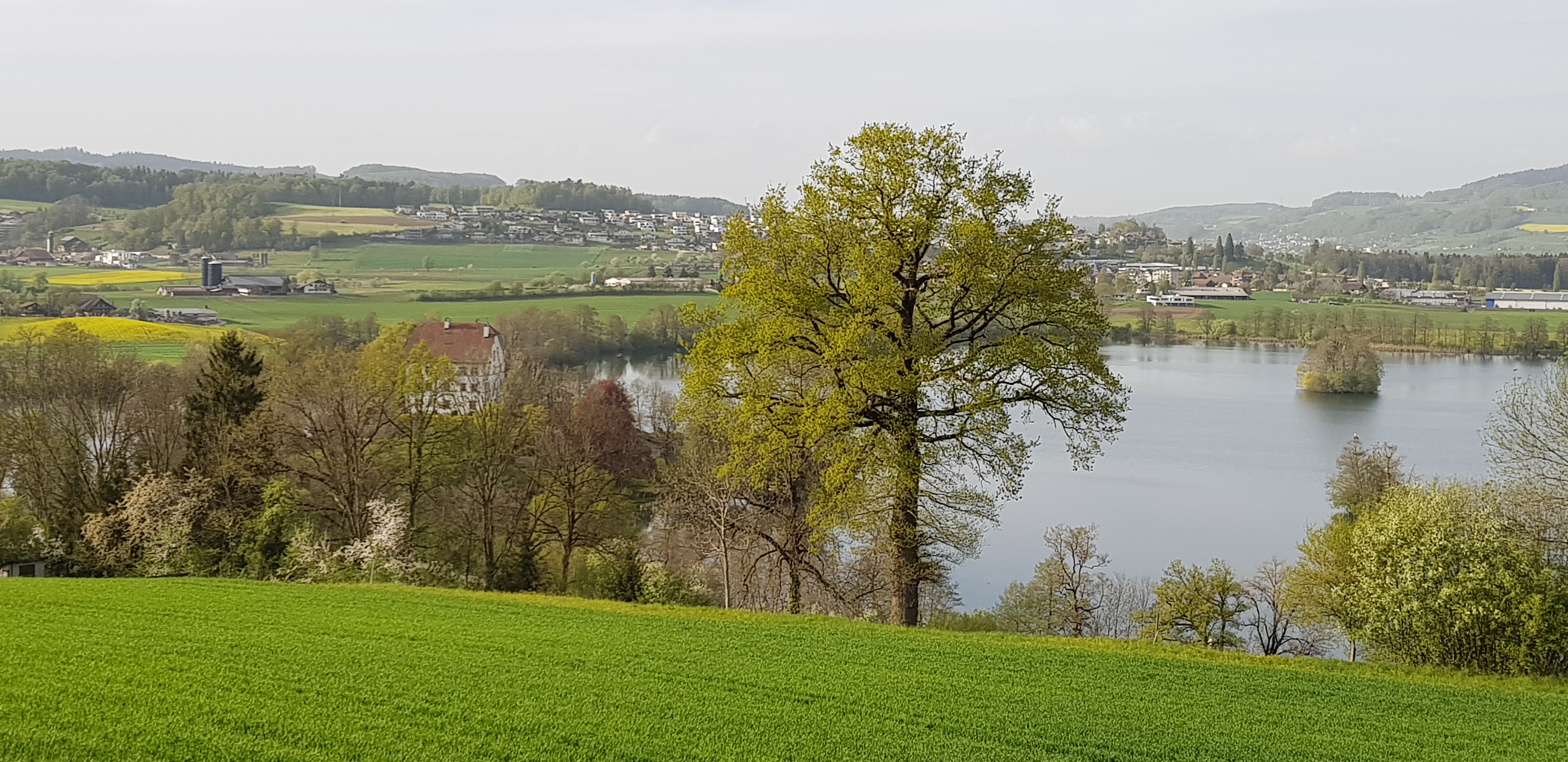 Mauensee mit Schloss | Urs Stalder, Buttisholz