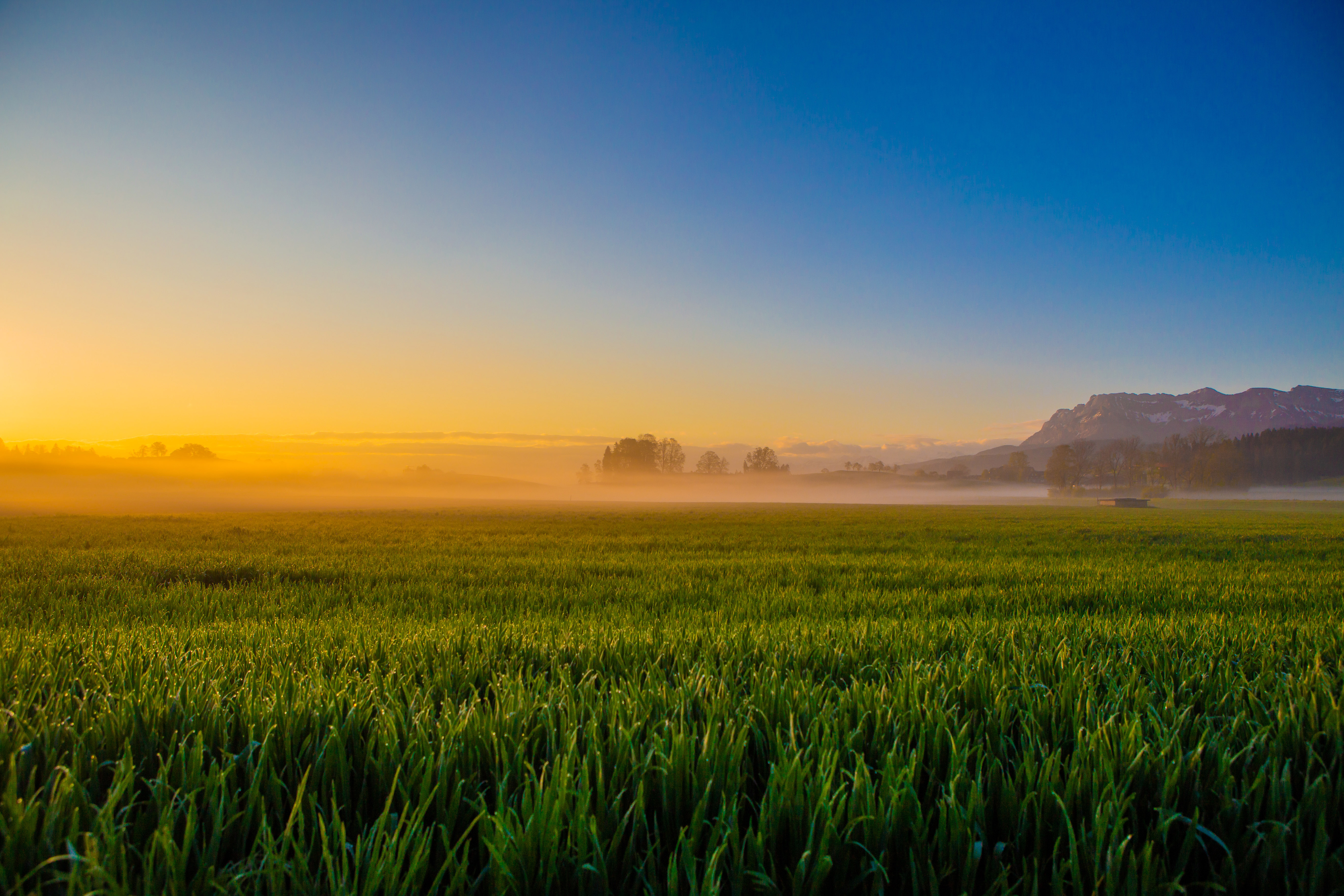 Das Ausser Moos im Nebel beim Sonnenaufgang. | René Burch, Ruswil