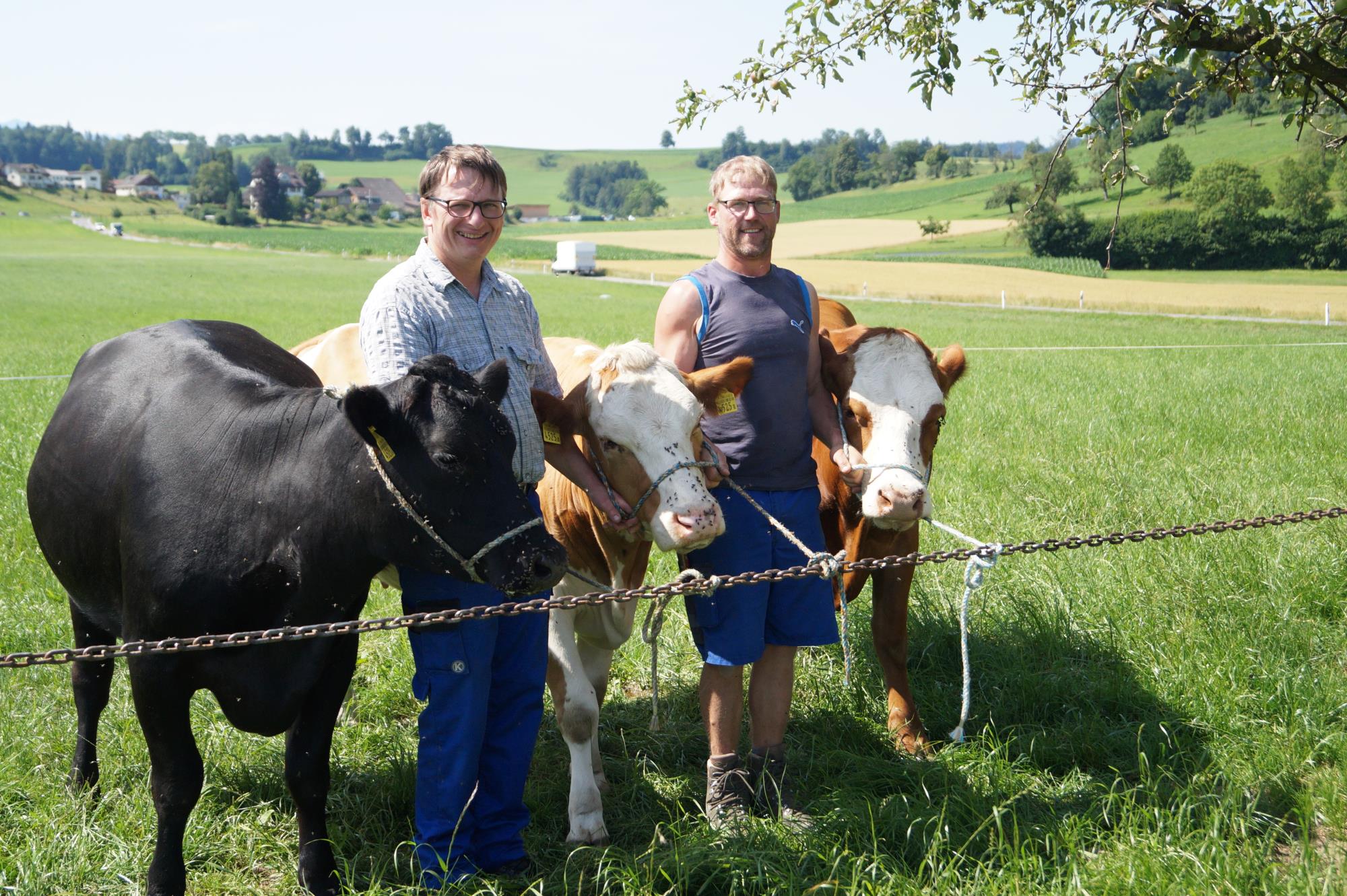 Die hochträchtigen Drillinge wechseln vom Züchter Pius Emmenegger (links) zum neuen Besitzer Philipp Renggli. Foto zVg