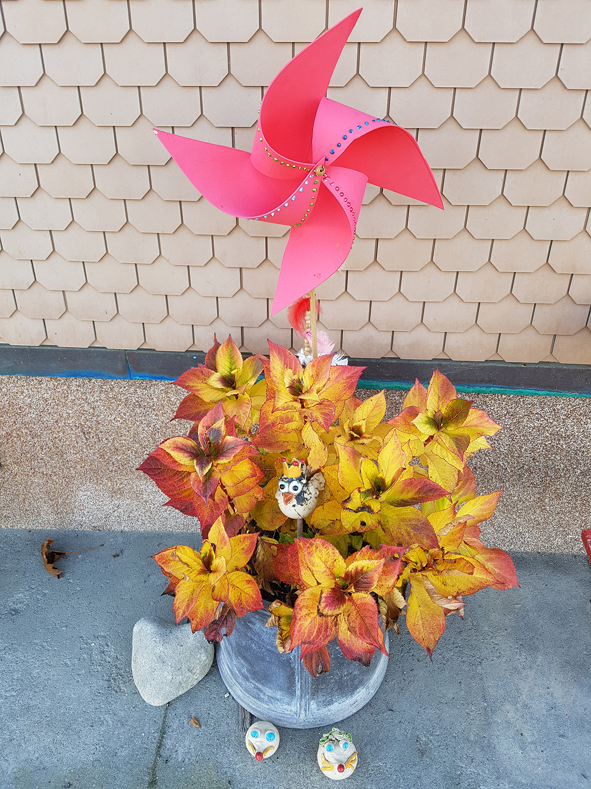 Hortensie, die schmückende Blume,wirkt wunderbar an der Hauswand. | Emilie Koller, Grosswangen