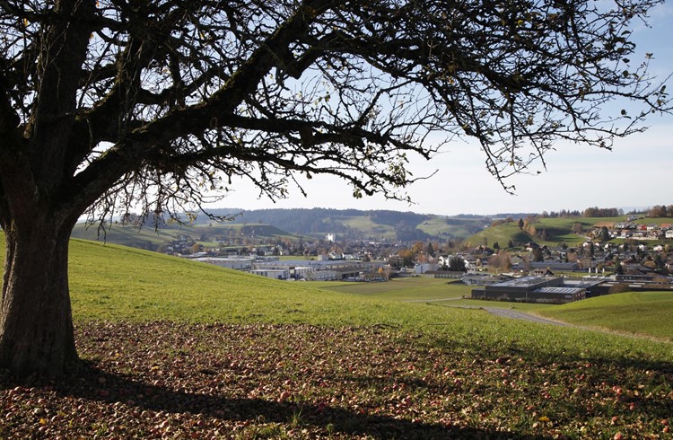 Der Kanton Luzern soll einen Strategieansatz entwickeln, der die Bezüge zu allen Nachbarkantonen aufzeigt. Bild: Blick von Ufhusen (Kanton Luzern) nach Huttwil (Kanton Bern). Foto Andrea Arnold
