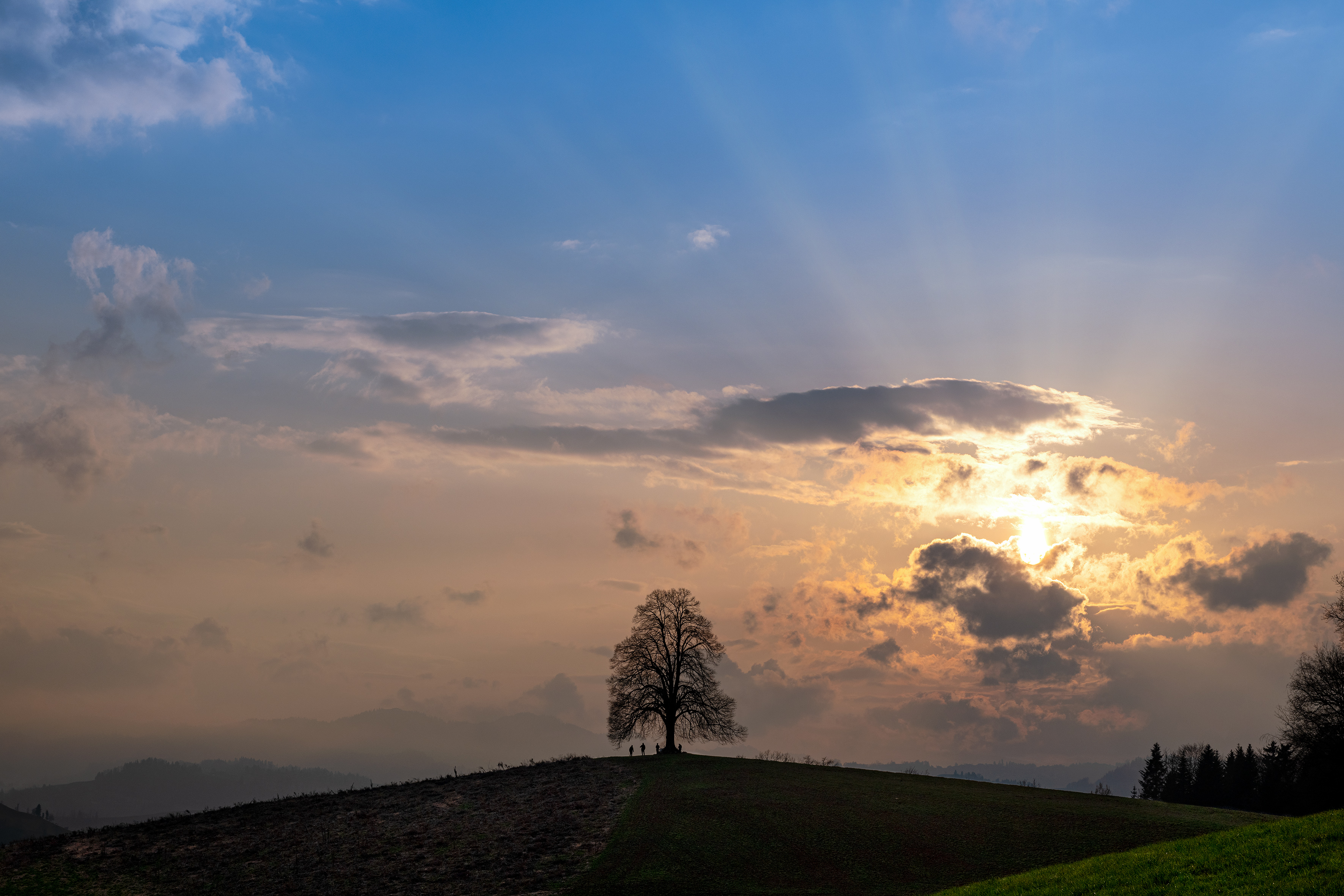  Farnerehubel, Sigigen, in mystischem Licht  | Stefan Dubach, Ruswil (Aufnahme, 7. März 2021) 