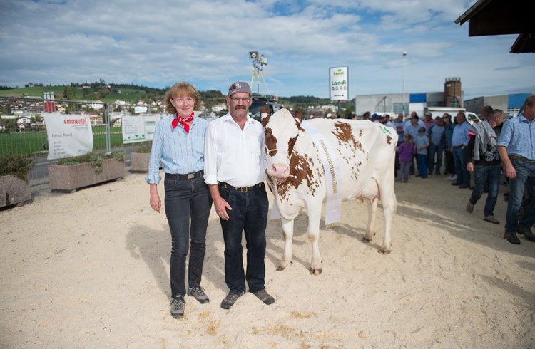 Miss Fleckvieh Ruswil wurde die Kuh «Ramona», hier mit dem Besitzerpaar Josef und Brigitte Rölli. Foto Erwin Ottiger