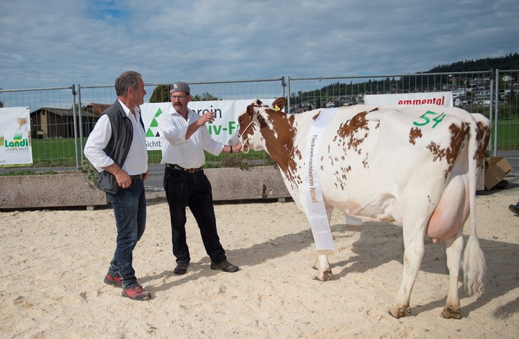 Züchter Josef Rölli (rechts) im Gespräch mit Experte Josef Steinmann, der die Kuh Ramona gerade zur Miss Ruswil gekürt hat. Foto Erwin