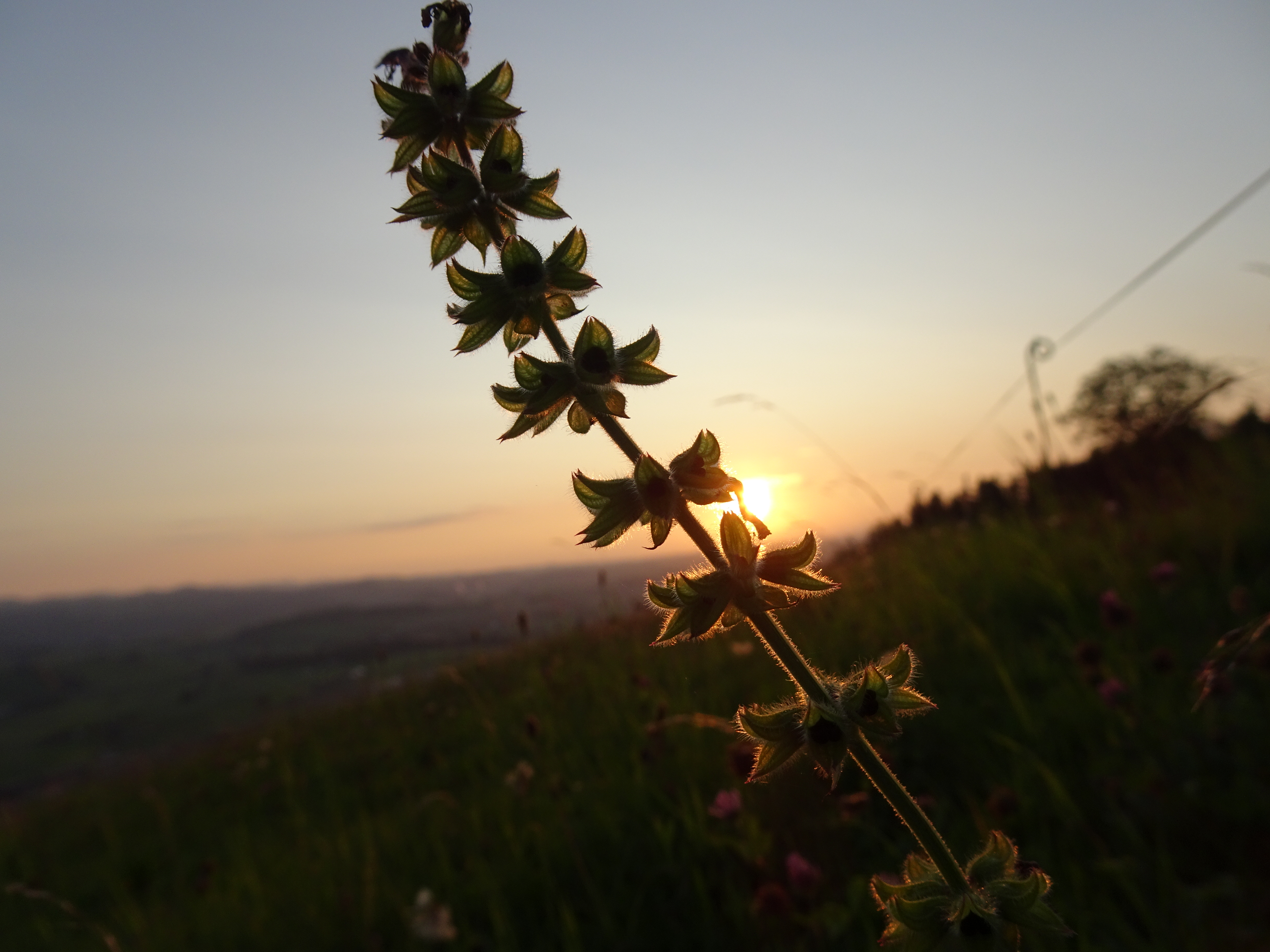 Sonnenuntergang beim Gsellenhüsli in Ruswil. | Urs Amrein, Ruswil