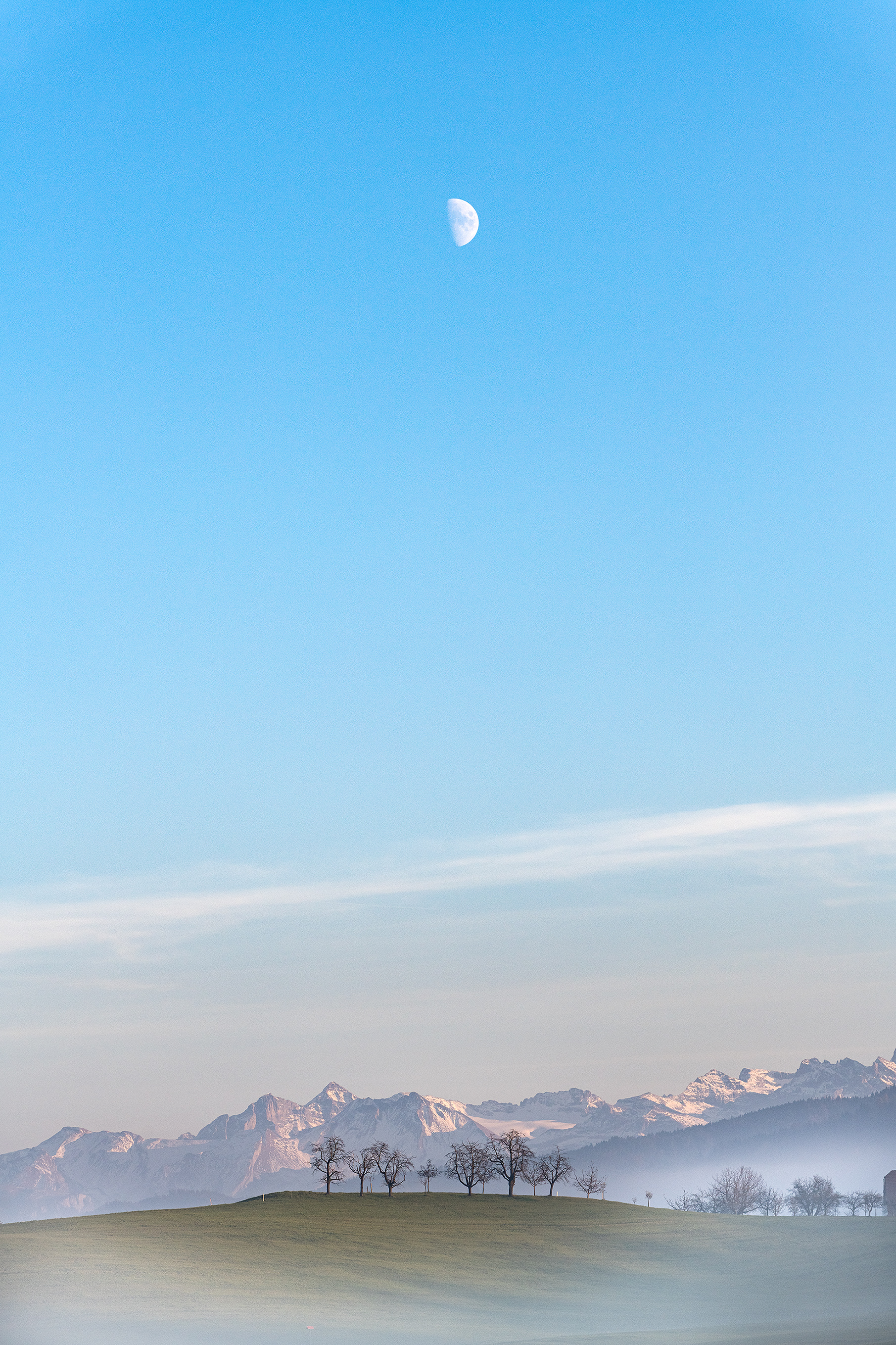 Kurz gibt der Nebel die Sicht auf die verschneiten Berge frei, bevor er wieder zurück ins Moos zieht. | Stefan Dubach, Ruswil