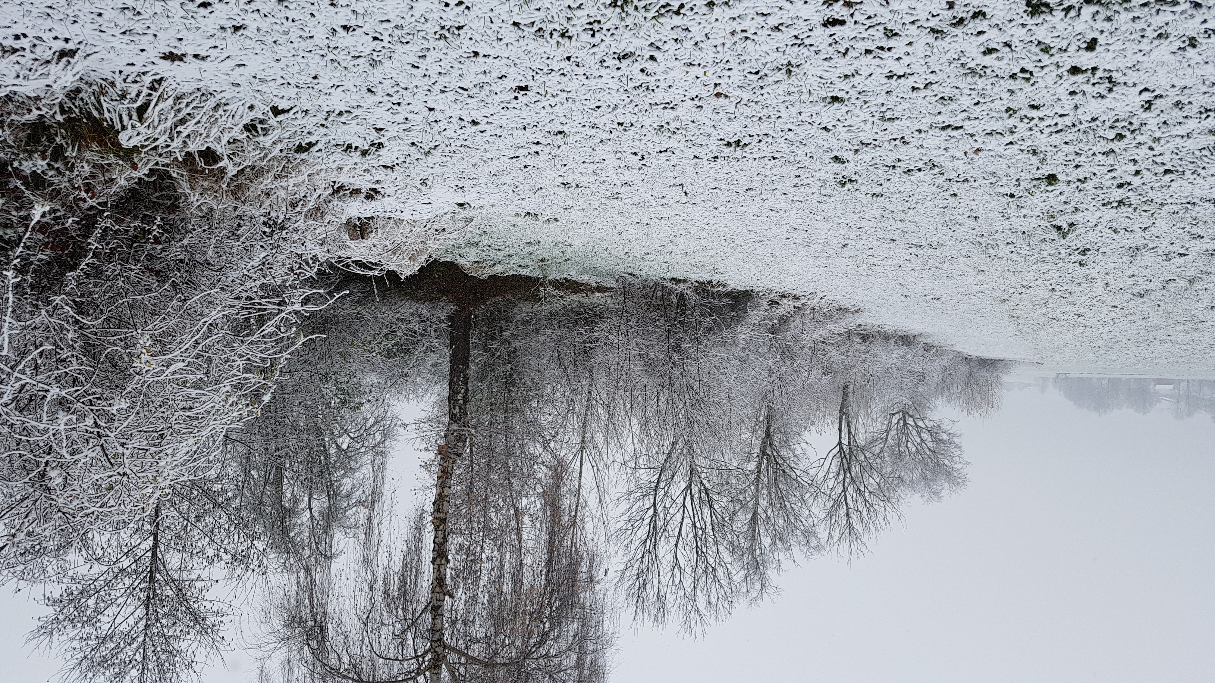 Vorweihnachtliche weisse Morgenstimmung am Innerdorfbach in Grosswangen. | Emilie Koller, Grosswangen