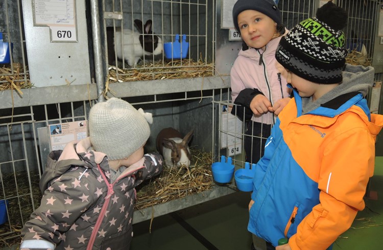 Die Geschwister Rufener aus dem Entlebuch besuchen ihr Kaninchen in der Ausstellung. Foto Josef Stirnimann-Maurer