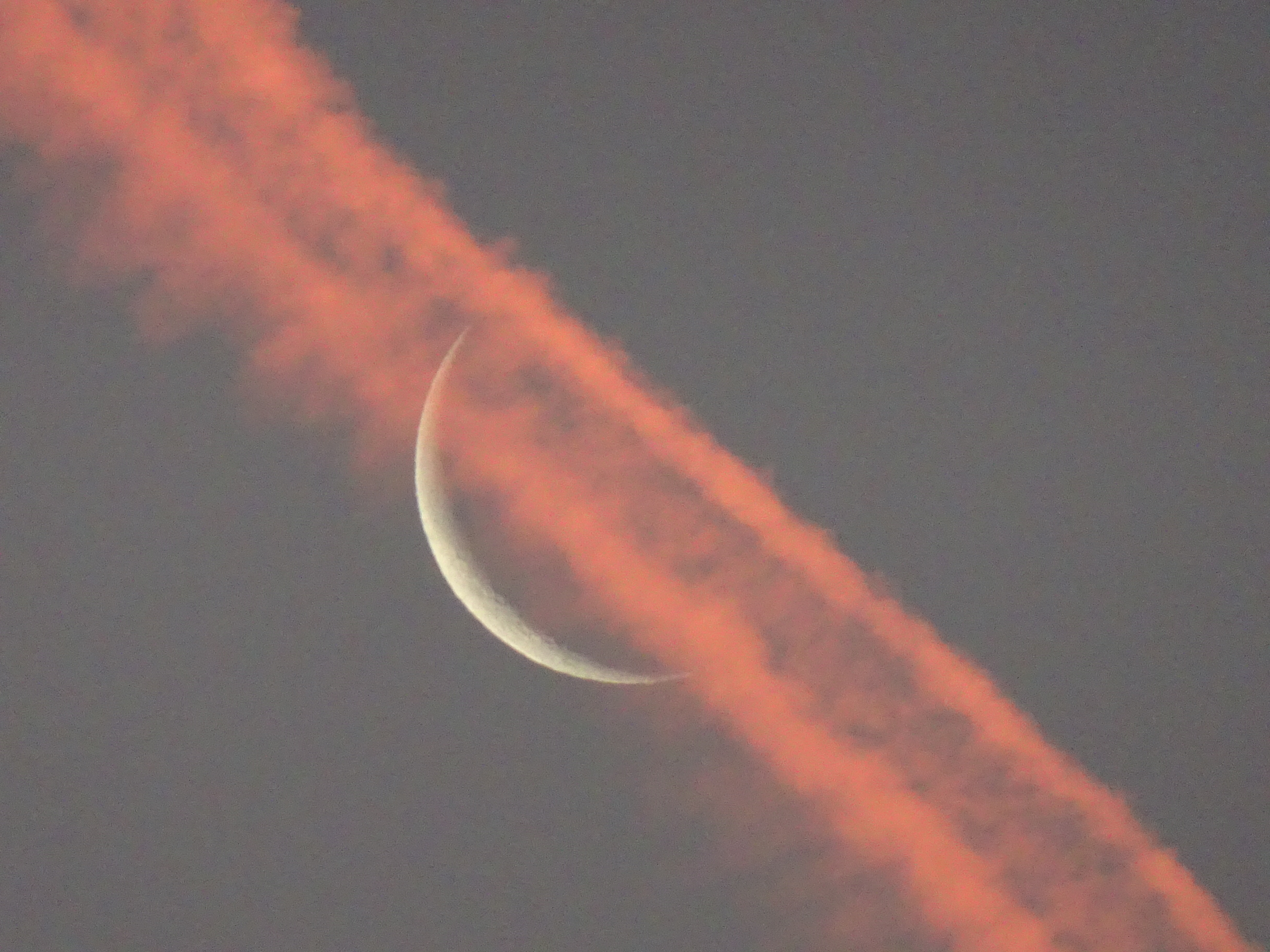Der abnehmende Mond mit einem, im Morgenrot rosa leuchtenden, „Jet-Kondensstreifen“ – über Ruswil; 31. Dezember um 07.56 Uhr | Urs Amrein, Ruswil