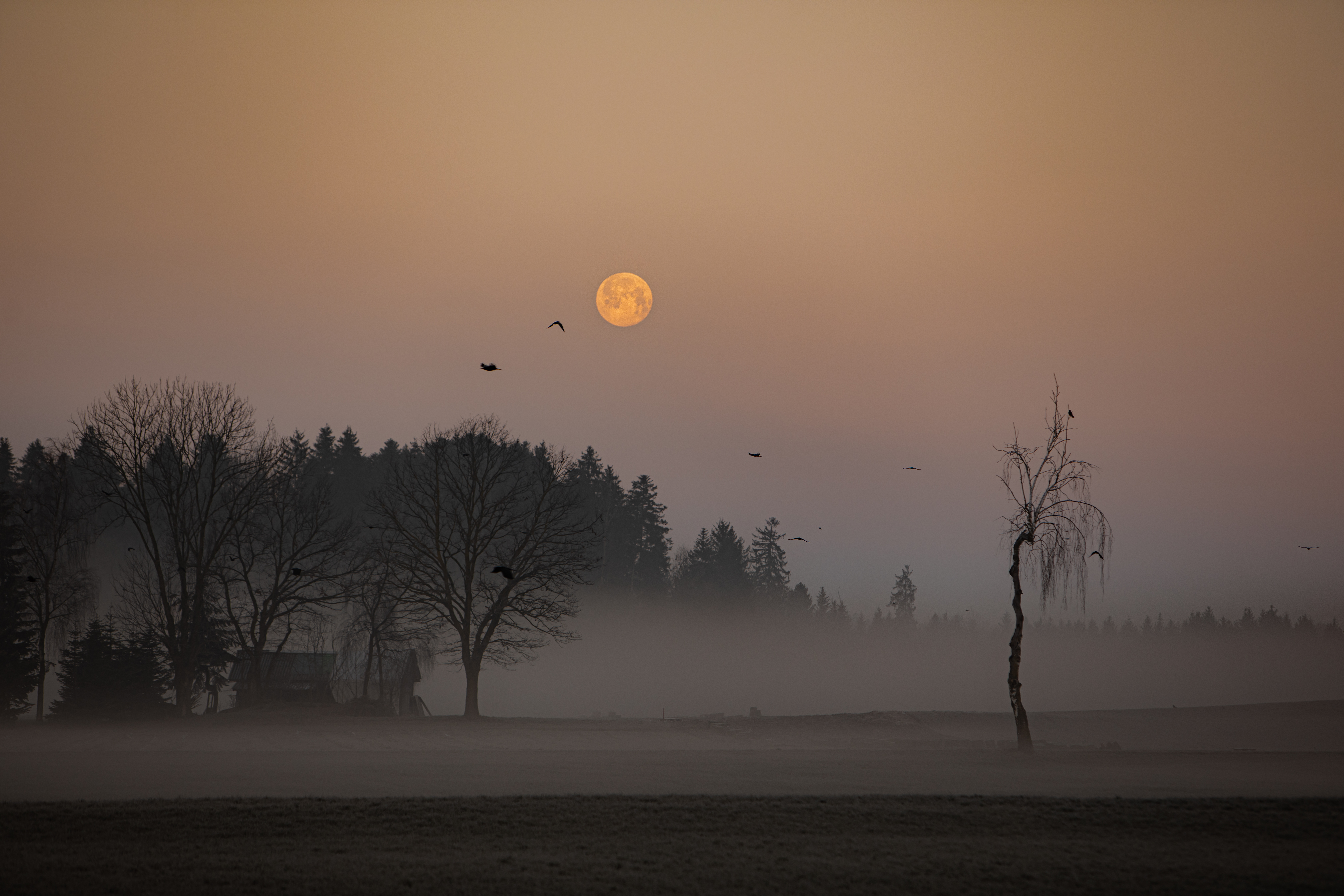 Der Mond macht dem Tag Platz | René Burch, Ruswil