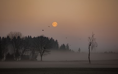 Der Mond macht dem Tag Platz | René Burch, Ruswil