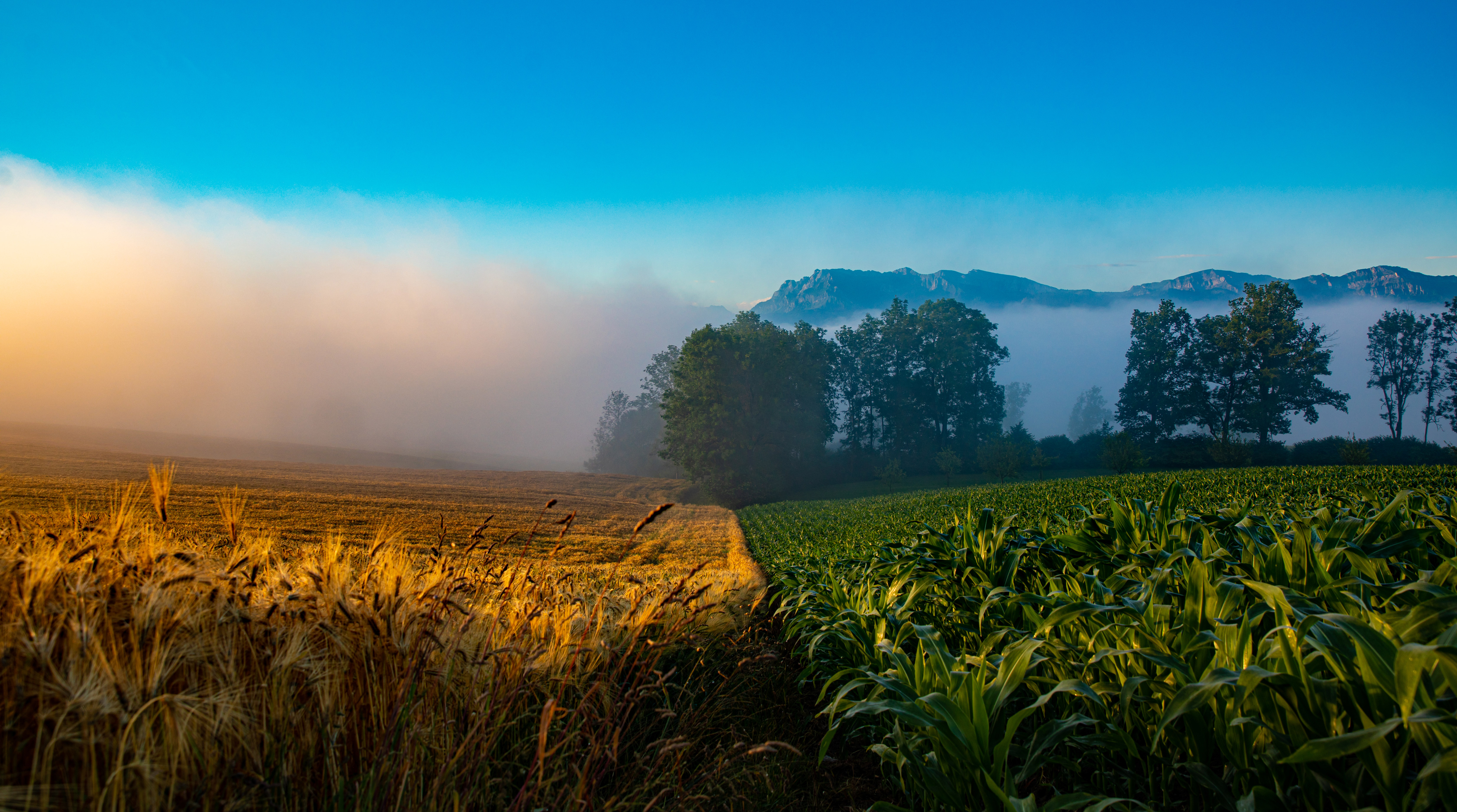Ein nebliger Morgen auf dem Ruswilerberg.  | René Burch, Ruswil 