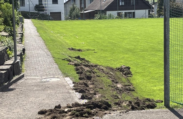 Beschädigter Rasenplatz bei der Schulanlage Kalofen, Grosswangen. Foto zVg
