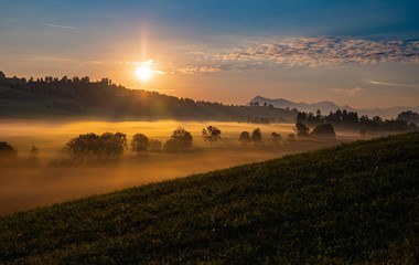 Mit den ersten Nebelschwaden im Ruswiler Moos macht sich der Herbst langsam bemerkbar. Aufgenommen am 30. August 2022 | René Burch, Ruswil 