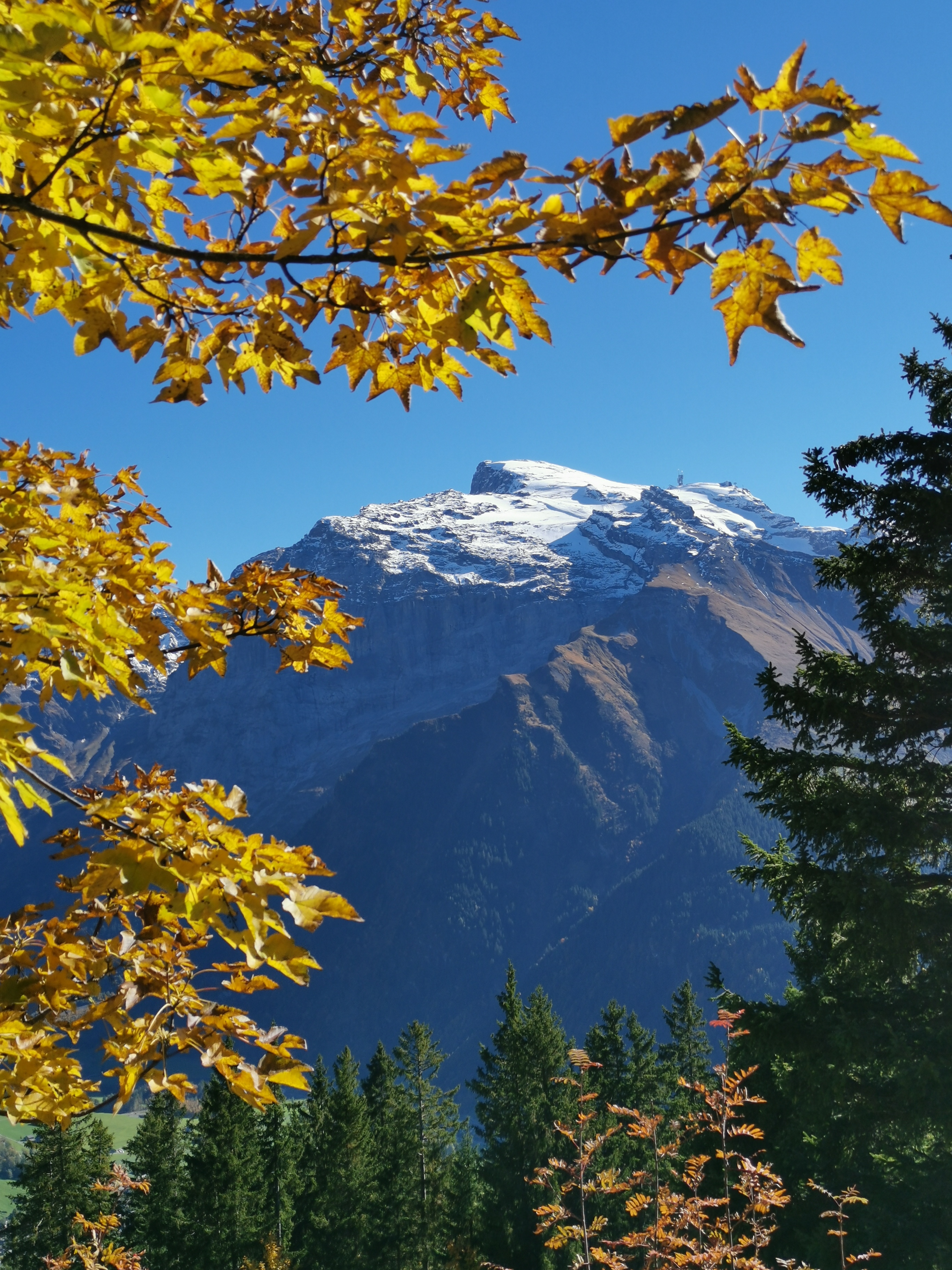 Herbstliche Aussicht zum angezuckerten Titlis | Silvia Schöpfer, Ruswil 
