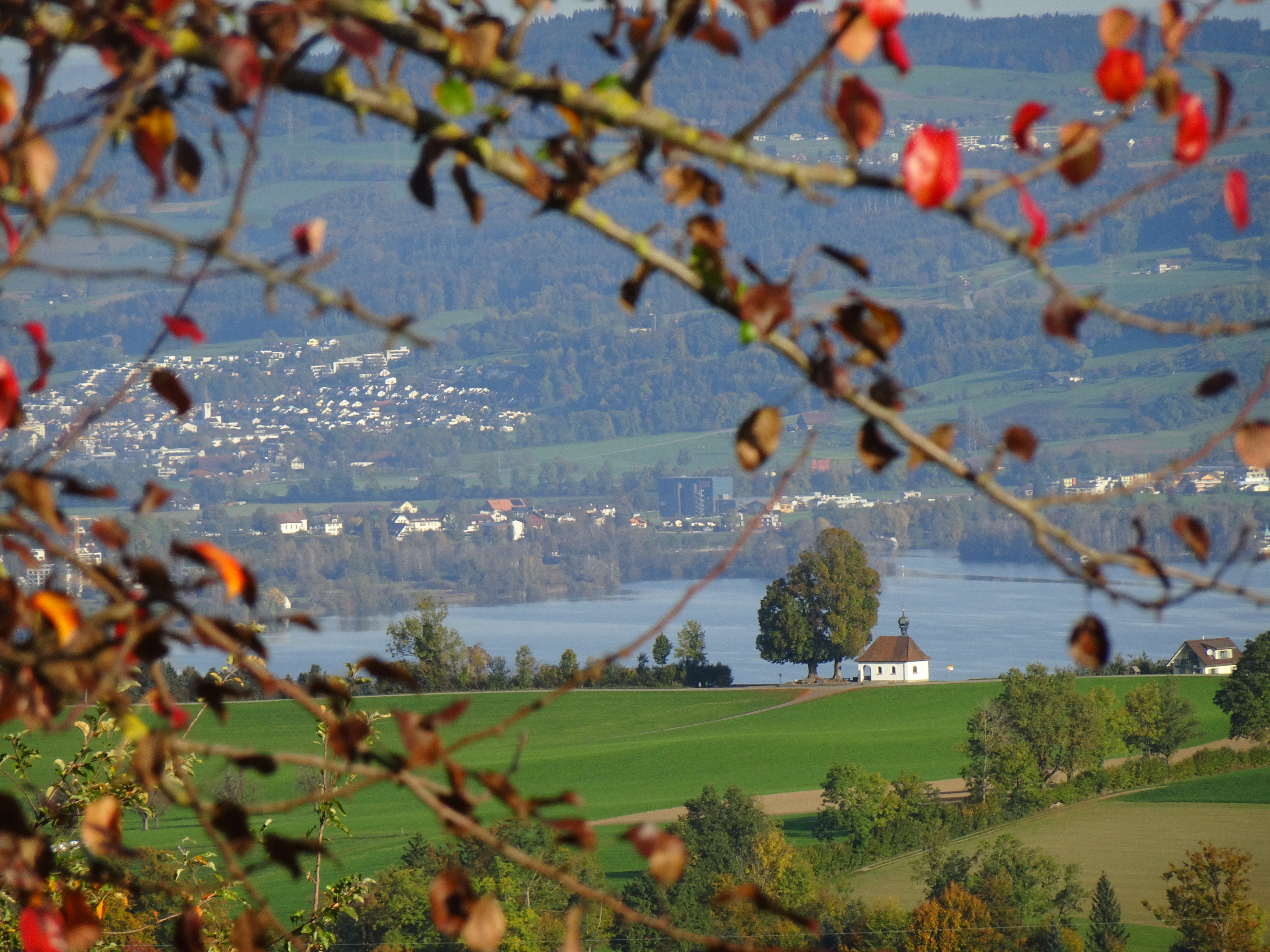 Flüss-Kapelle und der Sempachersee, durch herbstliches Geäst, vom Ruswiler Hof „ Obereichig “ aus. | Urs Amrein, Ruswil 