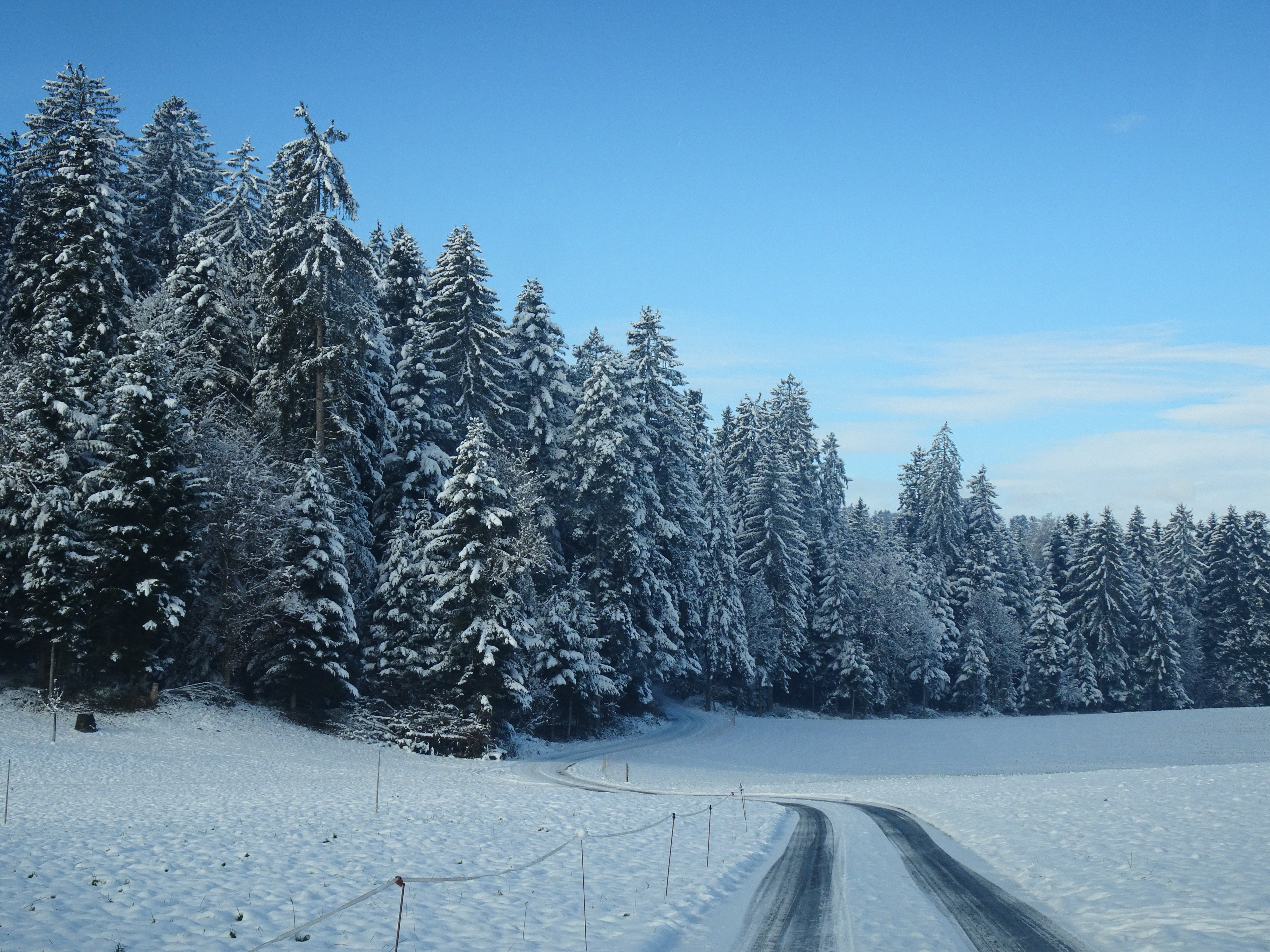 Hommelwald. Foto Urs Amrein