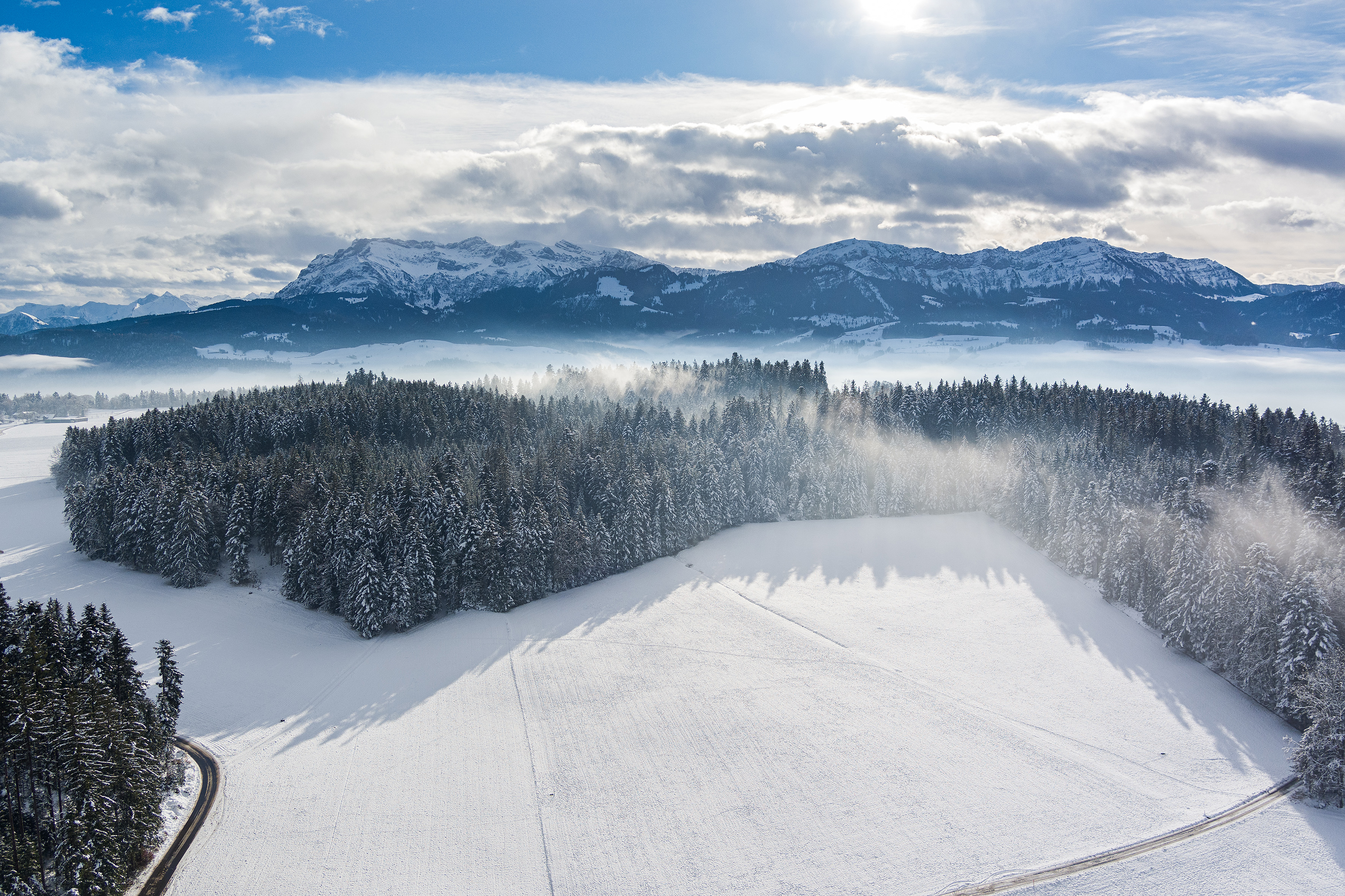 Winterwald. Foto Stefan Dubach