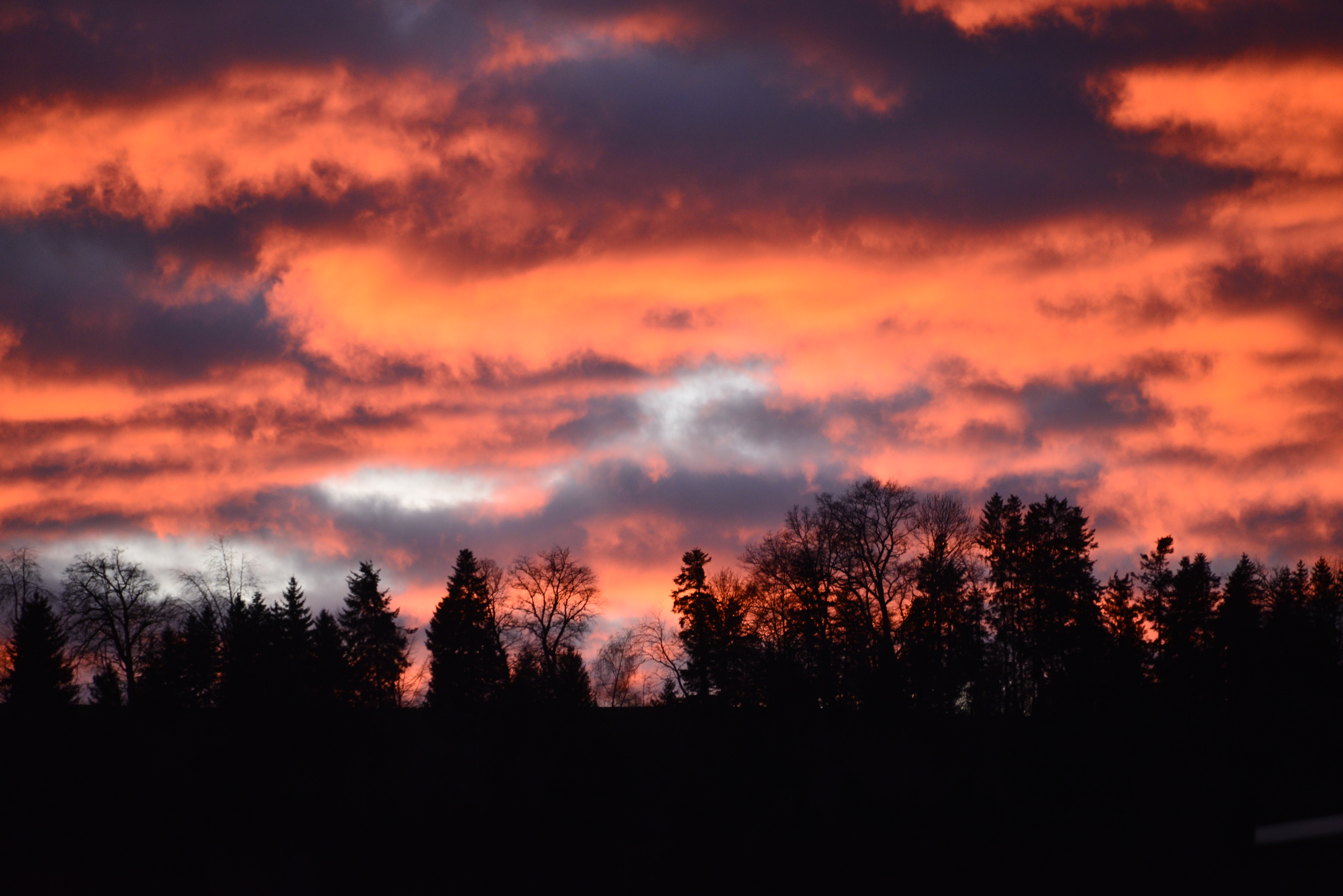 Wenn der Himmel brennt  | Martin Giese, Grosswangen 