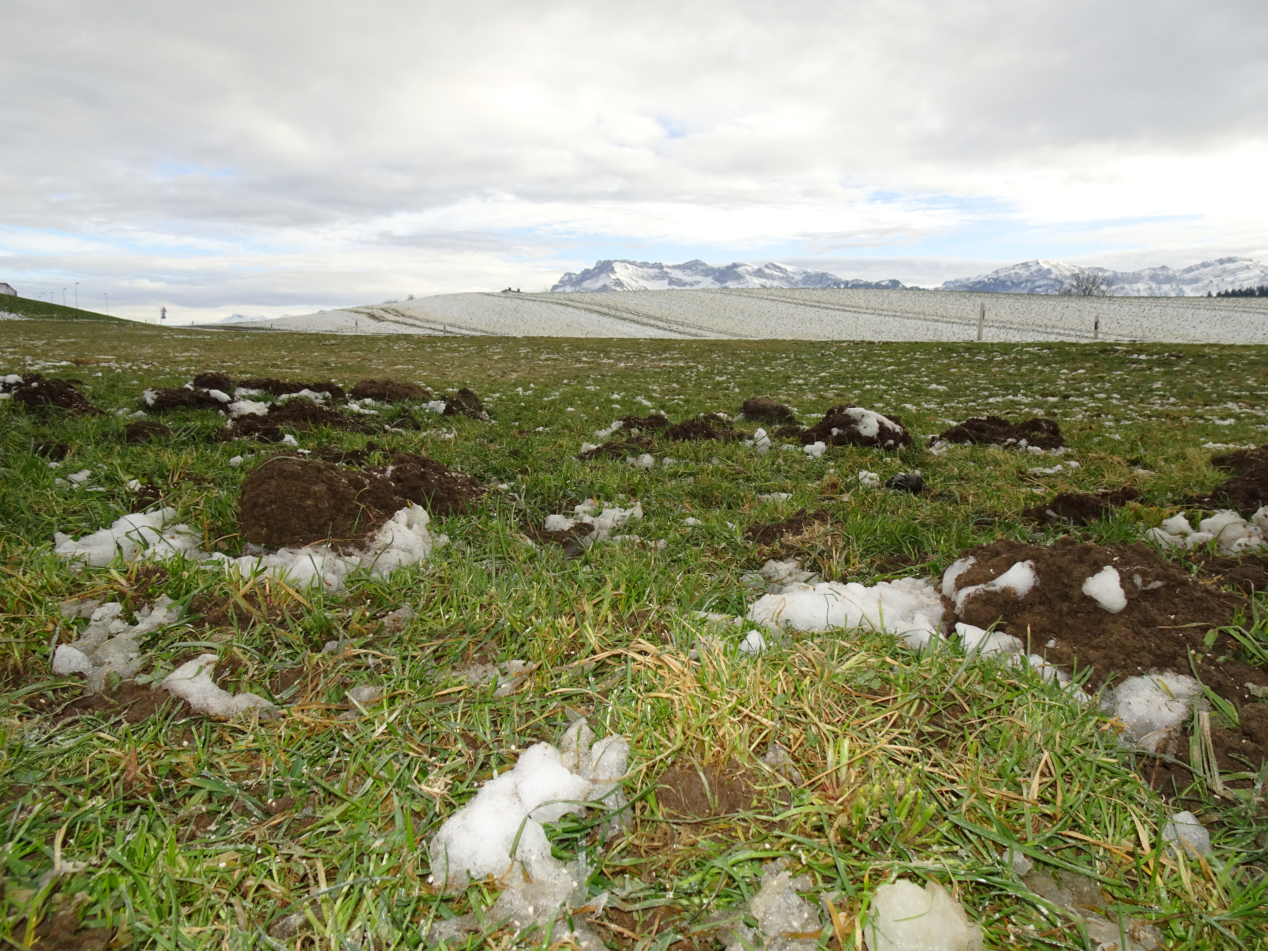 Frisch aufgestossene Mäusehaufen, tiefe Traktorenspuren und der wunderschöne Pilatus im Hintergrund. Aufgenommen von Ziswil aus. | Urs Amrein, Ruswil 