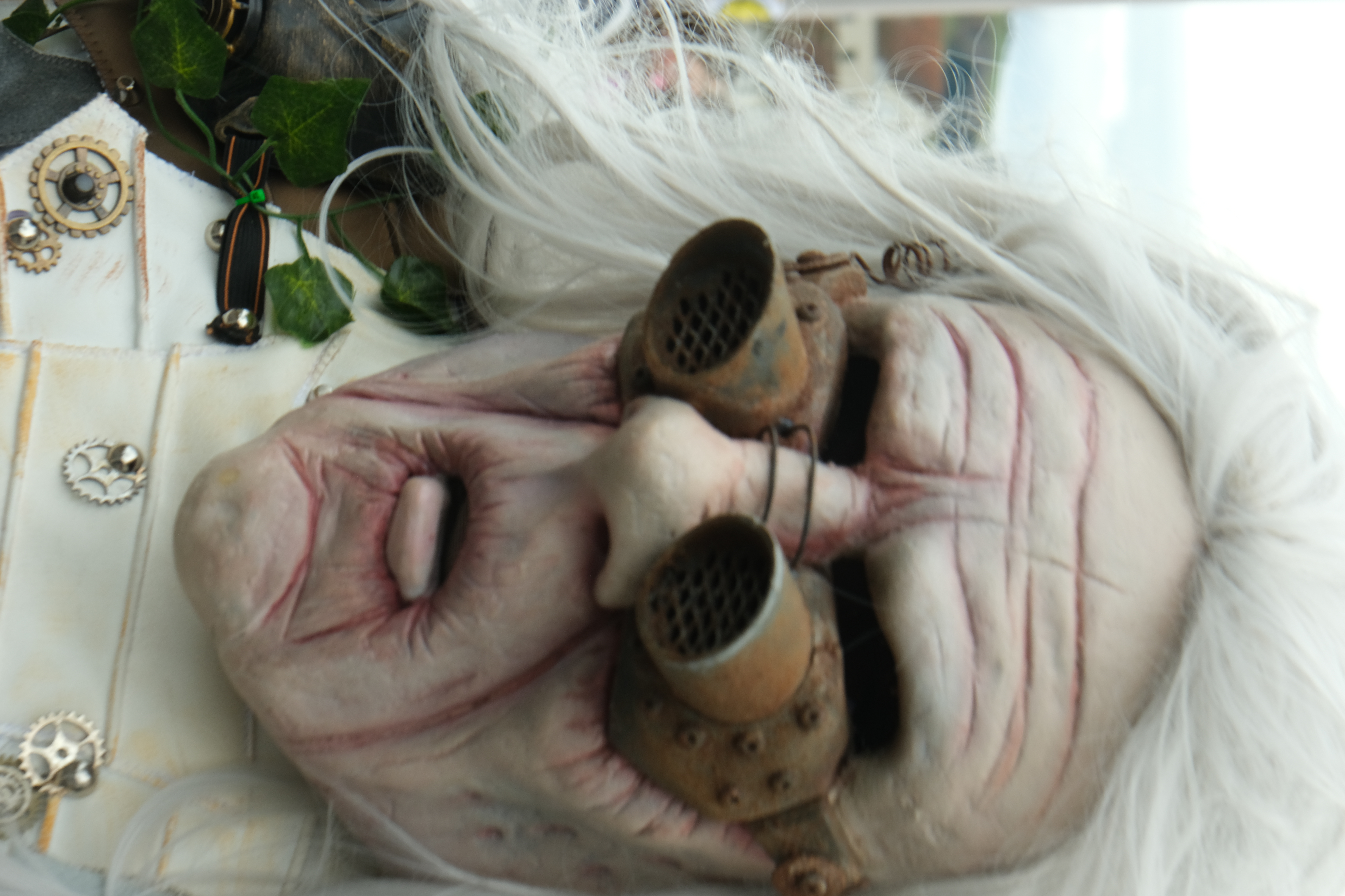 Gfürchig. Foto Hannes Bucher