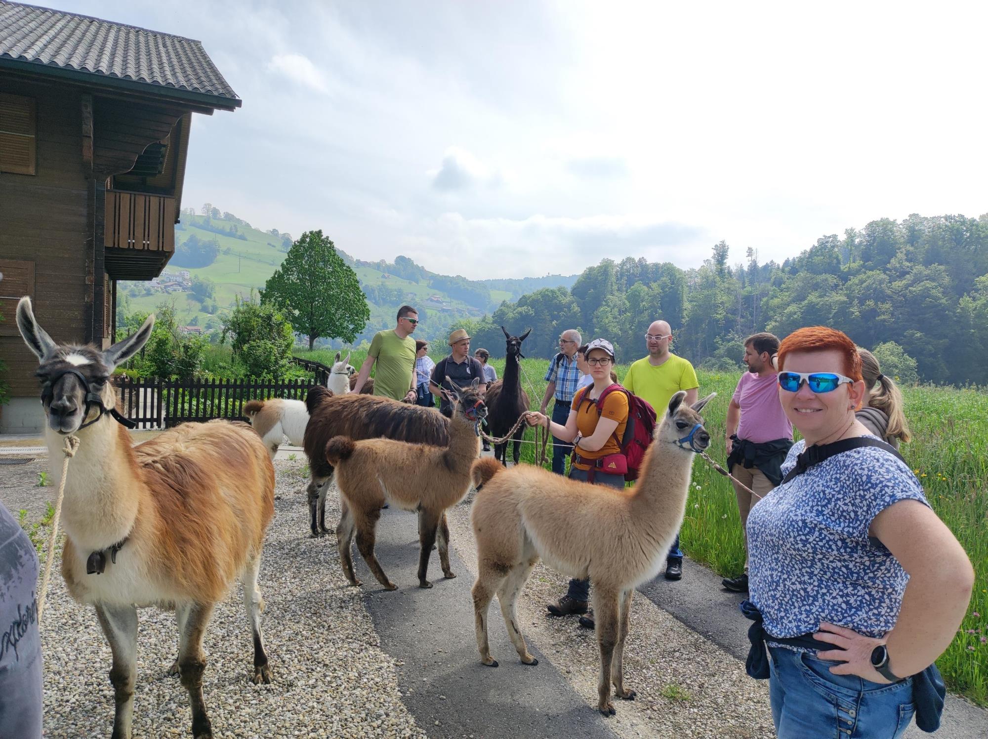 Die Wandergruppe geniesst mit den Lamas den Ausblick auf Werthenstein. Foto zVg