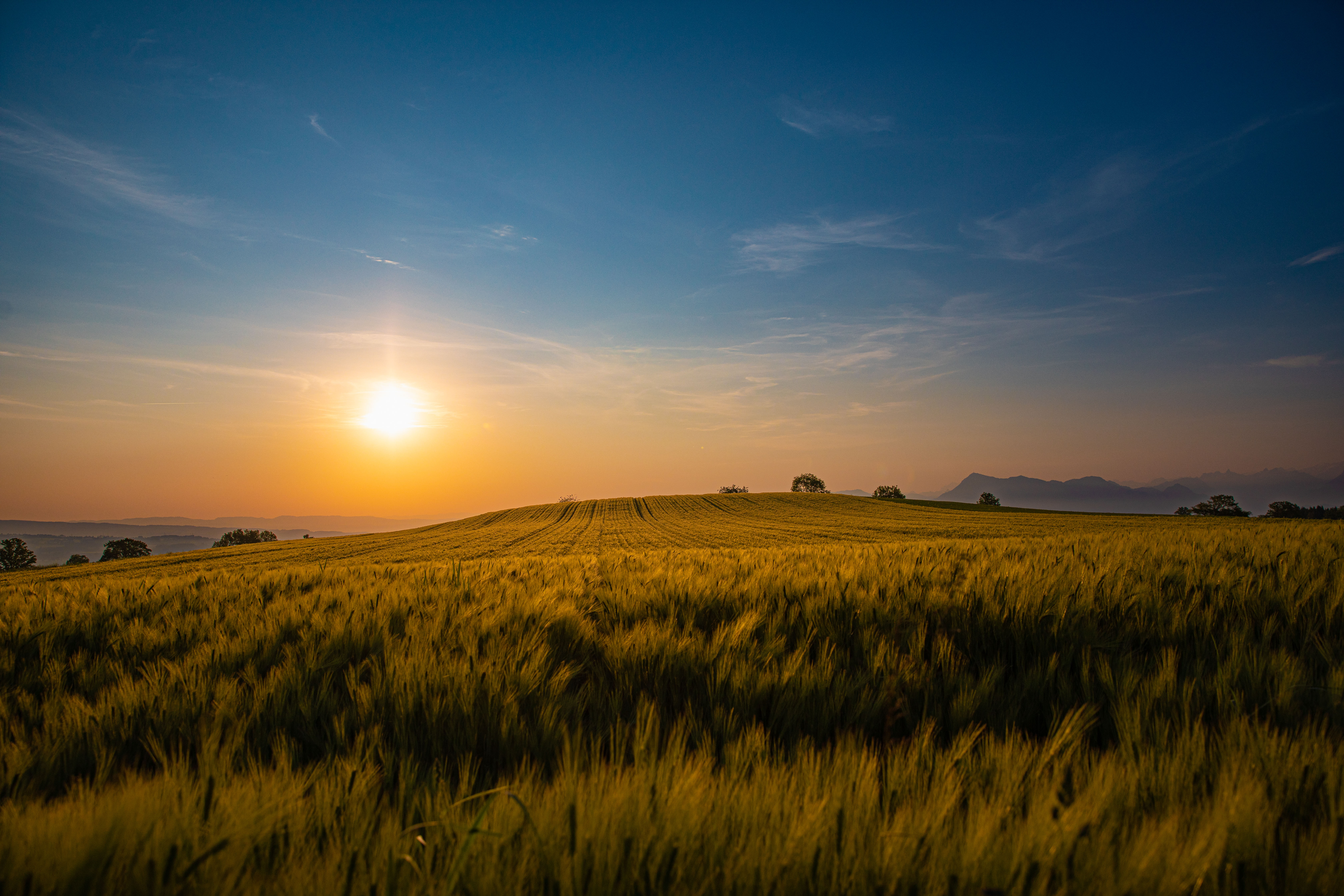 Ein neuer Tag erwacht auf dem Ruswilerberg | René Burch, Ruswil