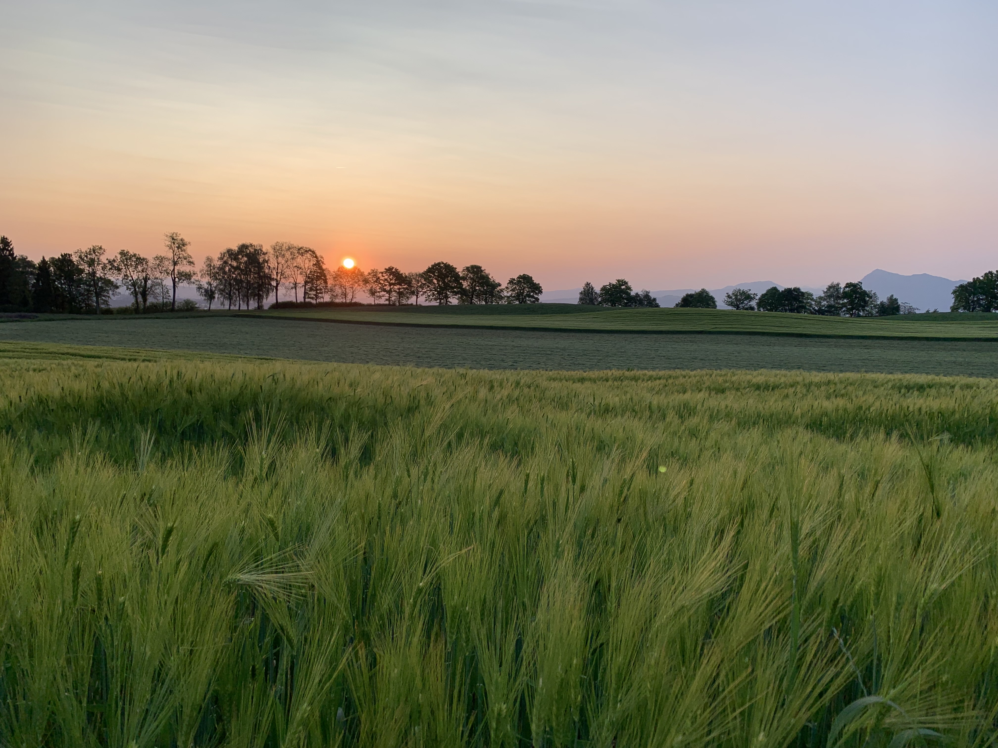 Sonnenaufgang nahe Hunkelen Hellbühl | Paul Emmenegger, Hellbühl