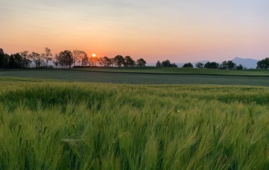Sonnenaufgang nahe Hunkelen Hellbühl | Paul Emmenegger, Hellbühl