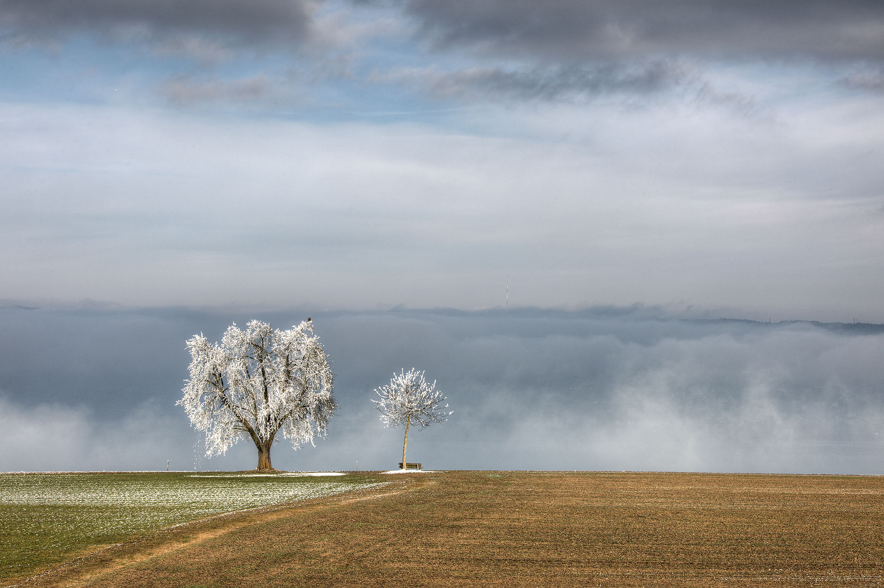 Landschaft mit Reif.  | Stefan Dubach, Ruswil