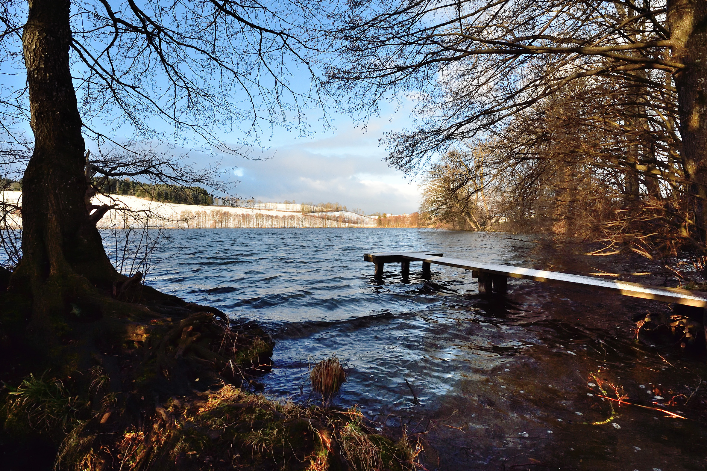 Winter am Soppensee.  | Erwin Ottiger, Ruswil