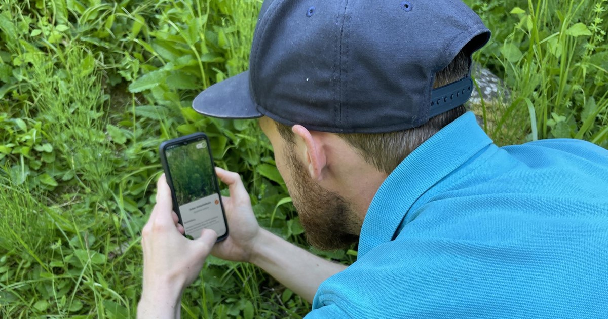 So wird das Handy zum Biologen Anzeiger vom Rottal