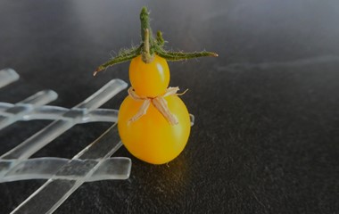 Diese kleine Tomate ist bei uns auf dem Balkon so gewachsen. | Josy Steinmann, Ruswil 