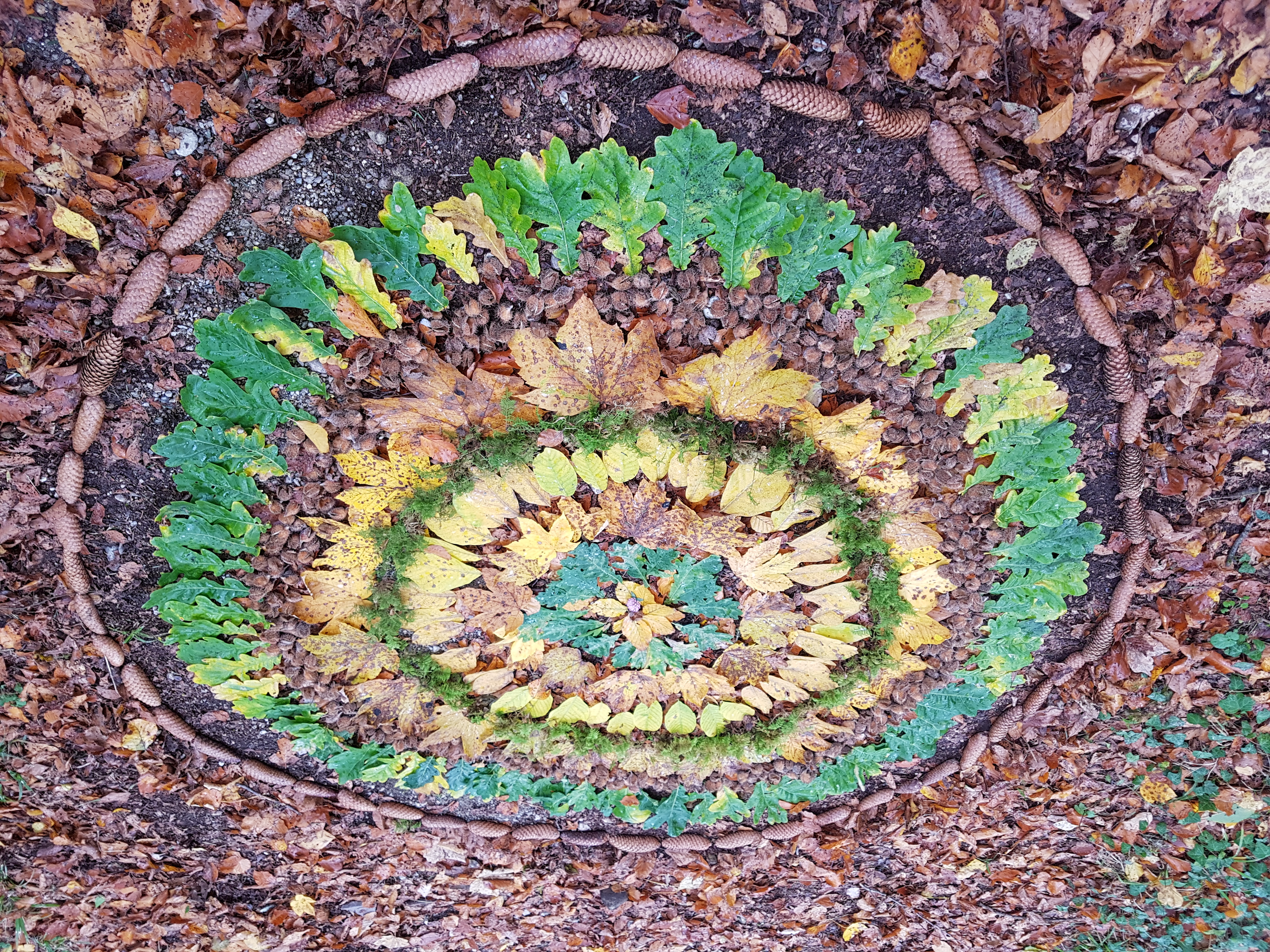 Herbstliches Kunstwerk | Emilie Koller, Grosswangen