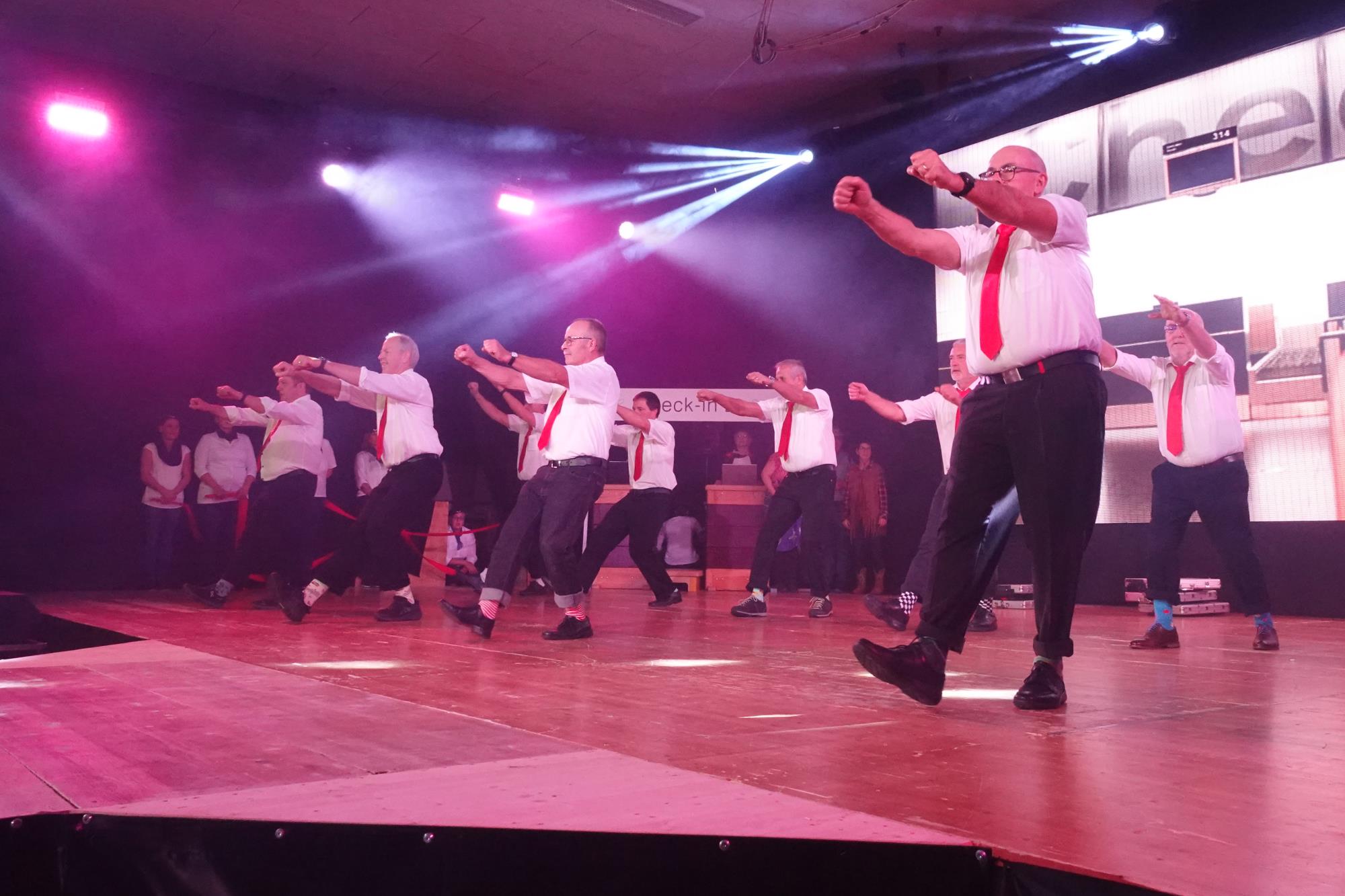 Impressionen STV Turnshow 2023. Foto Roland Meyer