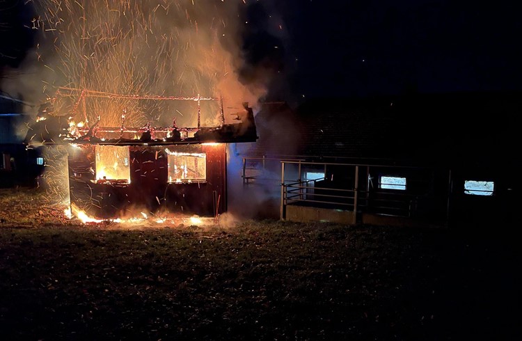 In Buttisholz brannte ein ehemaliges Bienenhaus nieder. Foto Luzerner Polizei