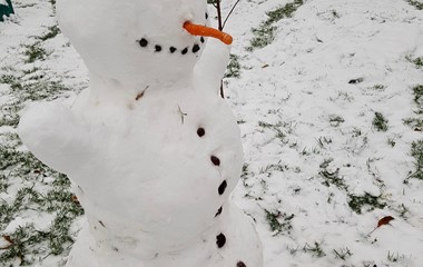 Der erste Schneemann besucht den Garten | Emilie Koller, Grosswangen