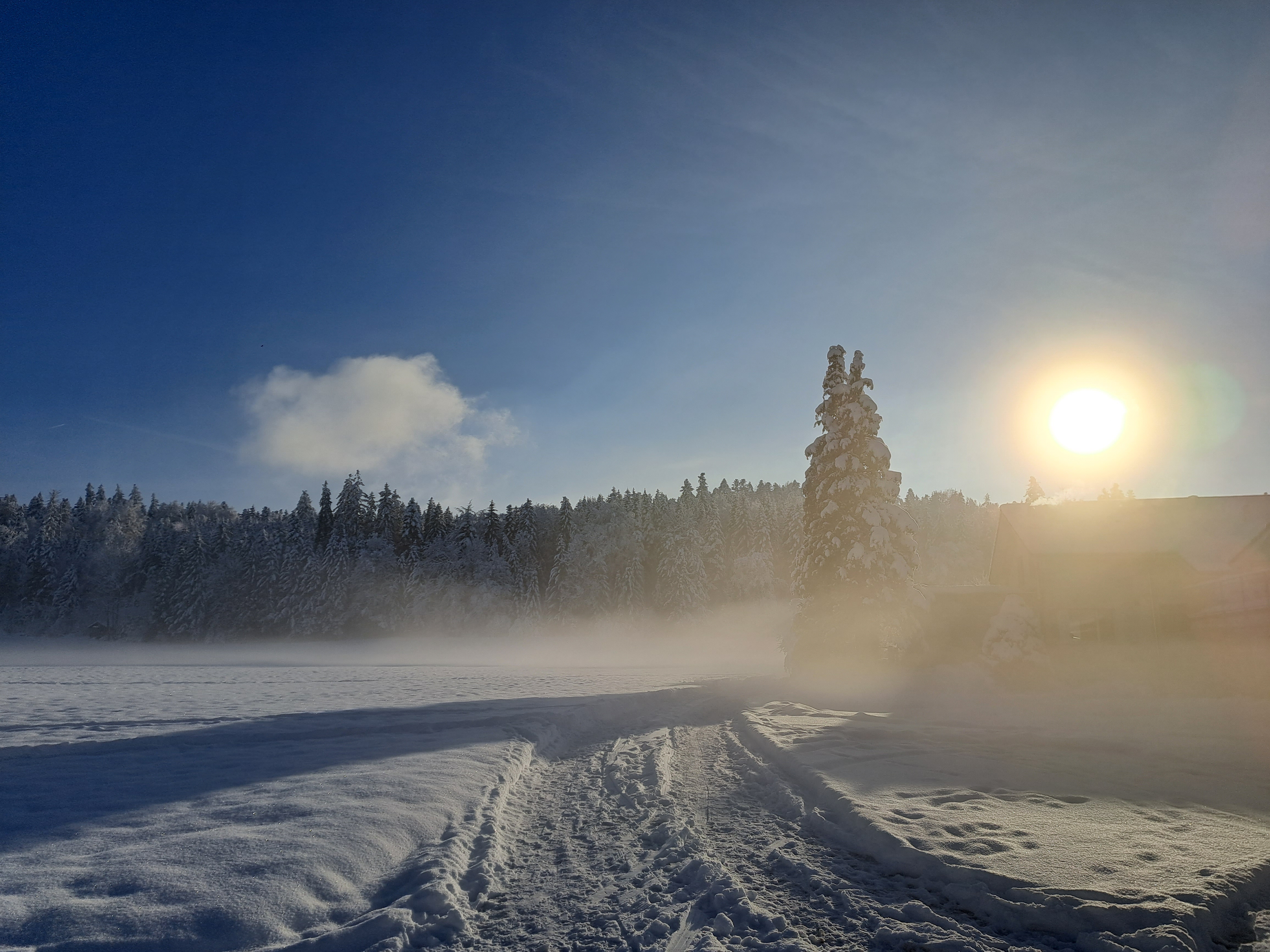 Winterlandschaft im Schächbeler Wald in Ruswil  | Bruno Brügger, Ruswil 