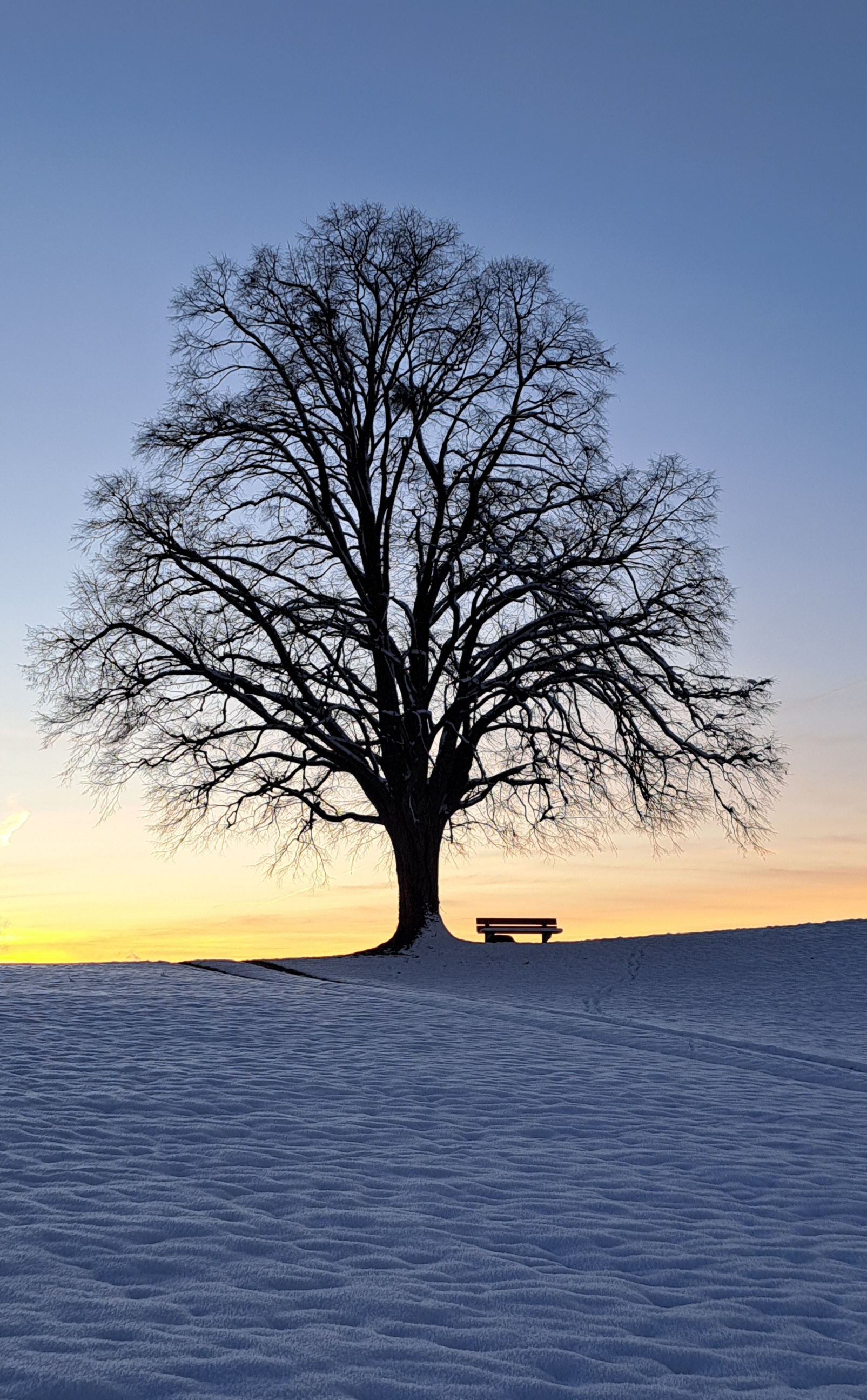 Bänkli auf dem Dambacherhoger auf der Grenze von Buttisholz und Geiss in der Abendsonne | Monika Bösch, Buttisholz