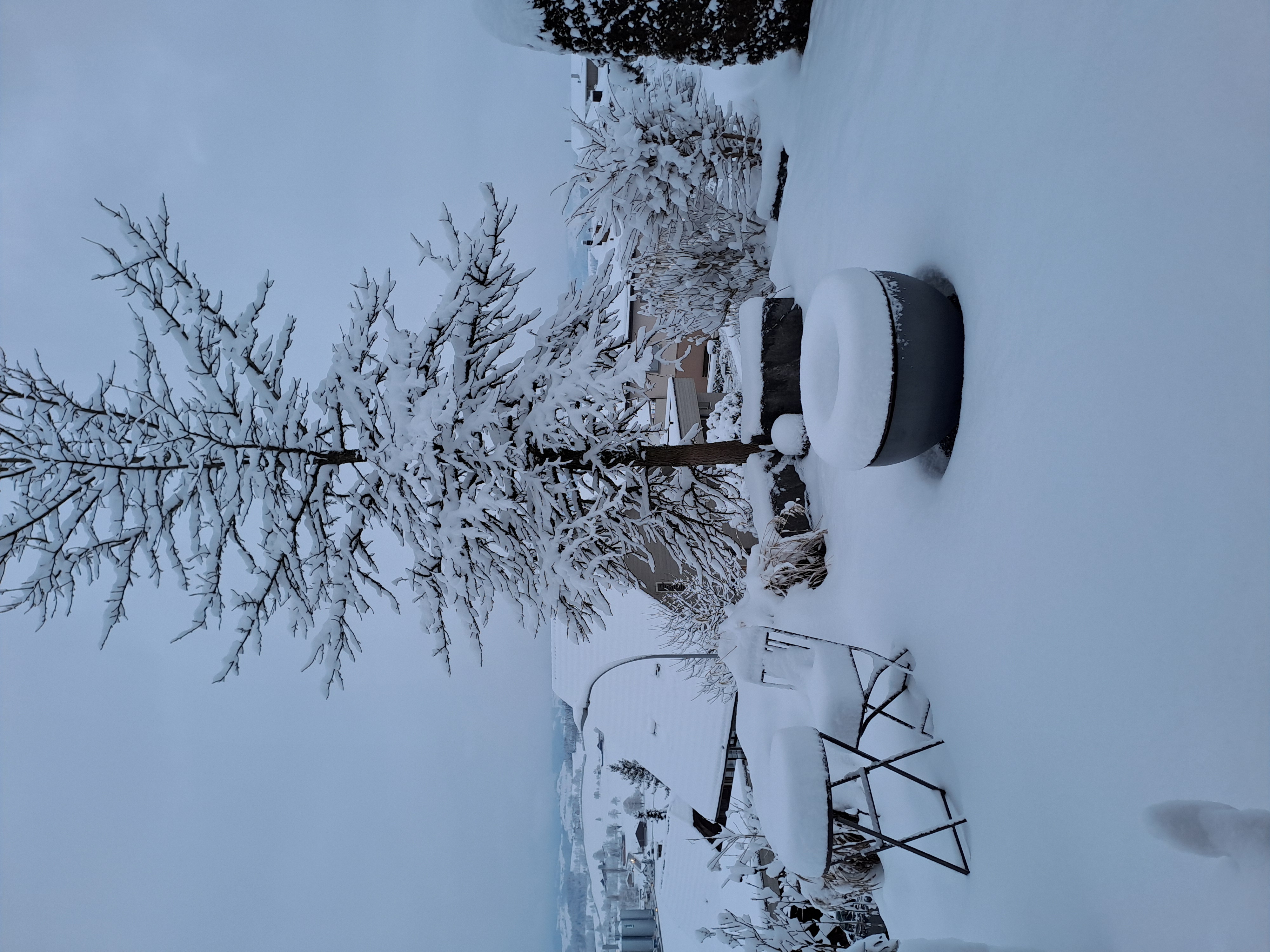 Der Winter ist zurück! Und das nicht zu knapp. | Martin Rey, Ruswil