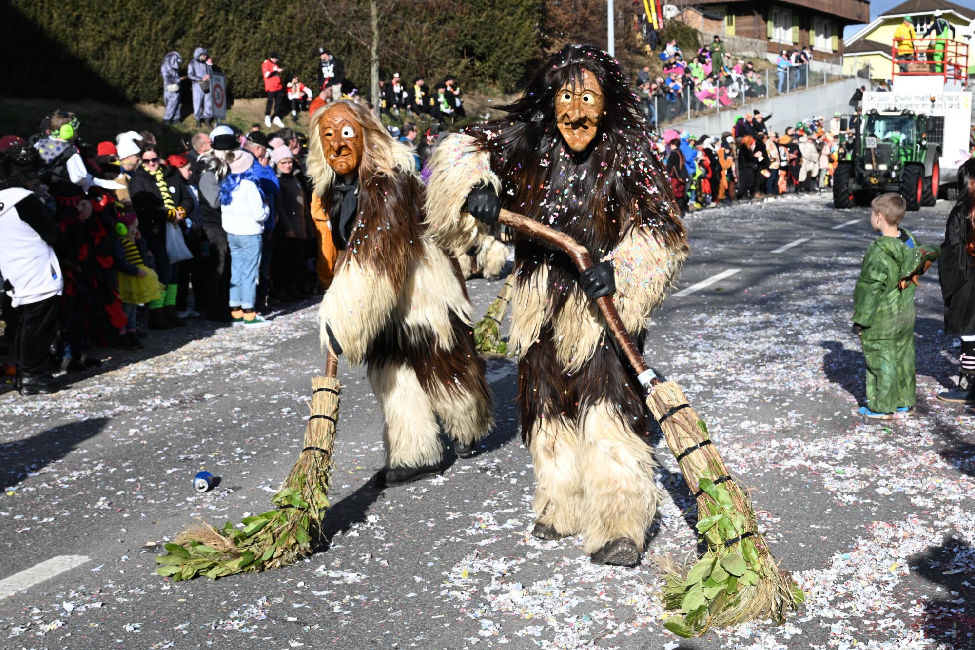 Impressionen vom grossen Fasnachtsumzug in Ettiswil. Foto Roland Meyer