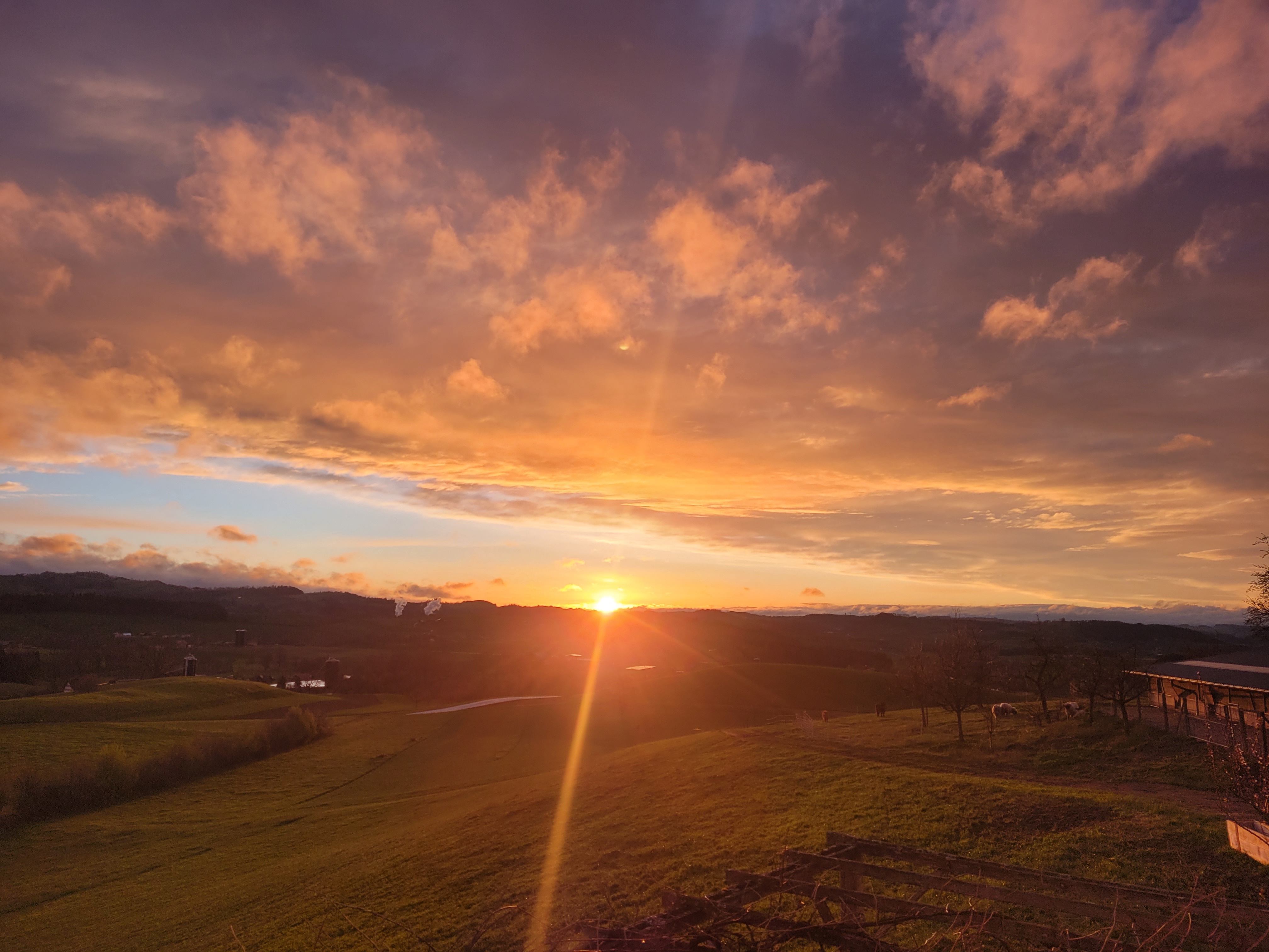 Ein wunderschöner Sonnenuntergang nach einem Nasskaltem Märztag. | Nicole Wagner, Ruswil 