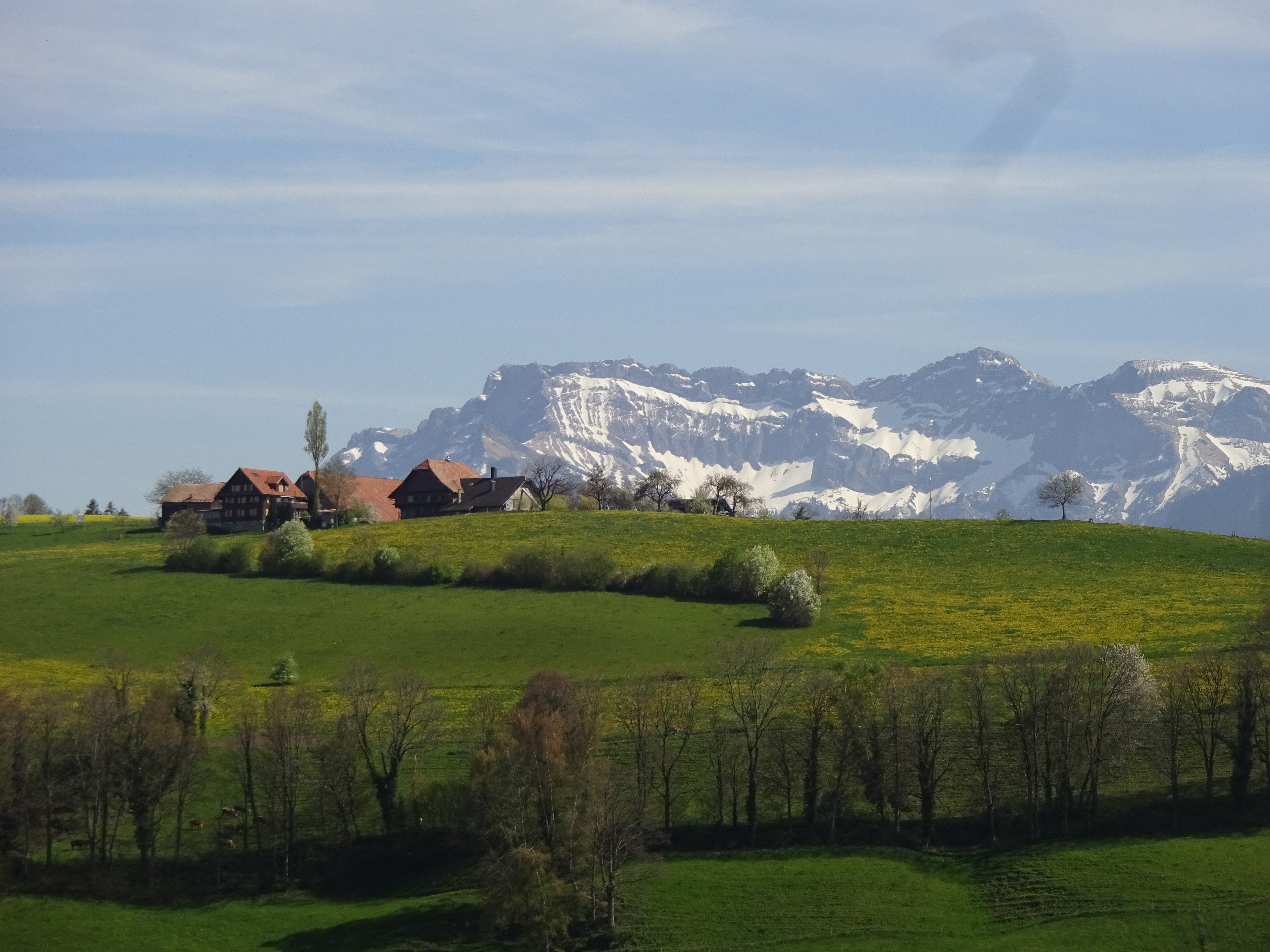 Der Hof Stäublig vor dem Pilatus | Urs Amrein, Ruswil