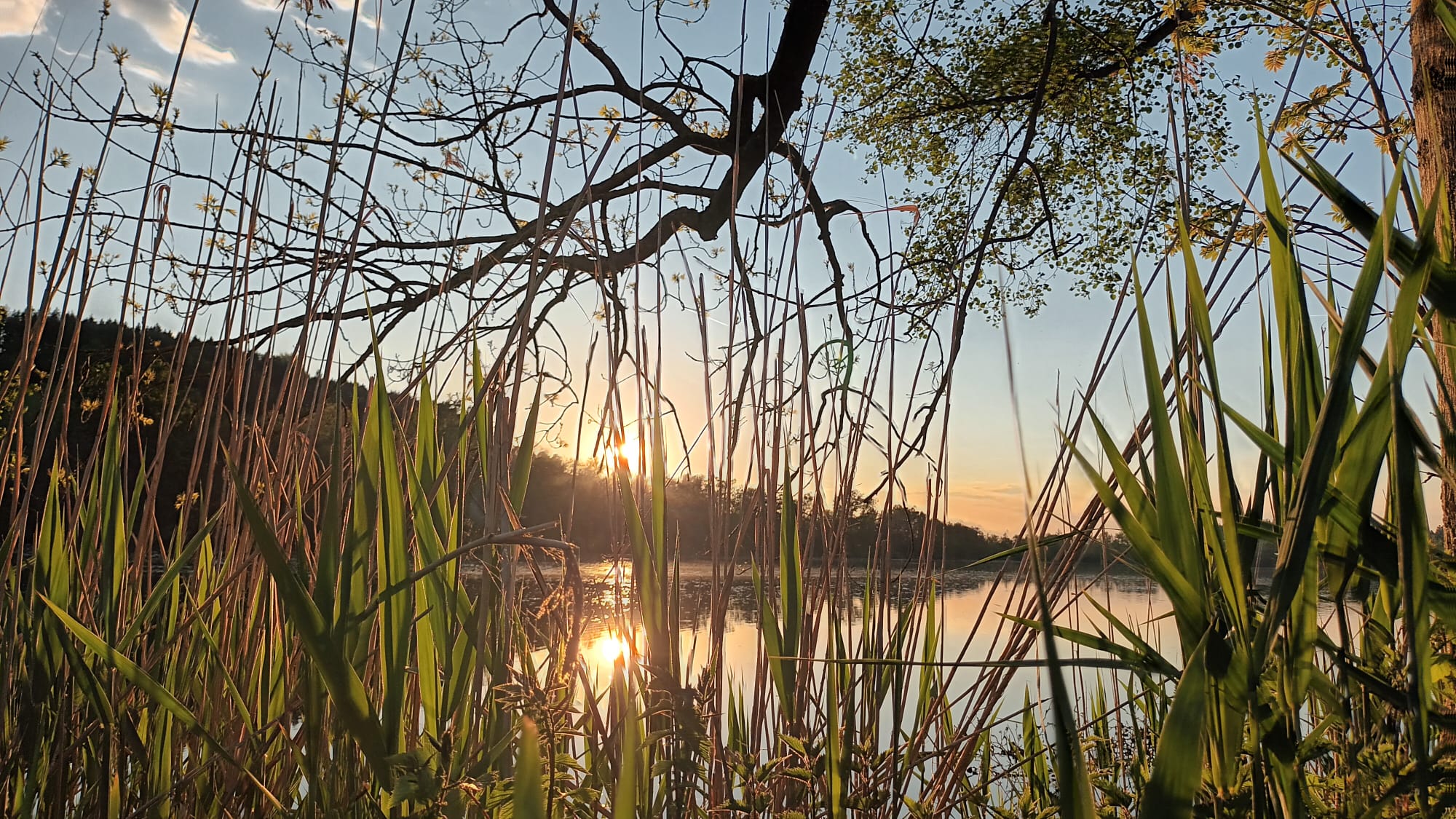 Sonnenuntergang am Soppensee  | Sarina Muff, Ruswil 
