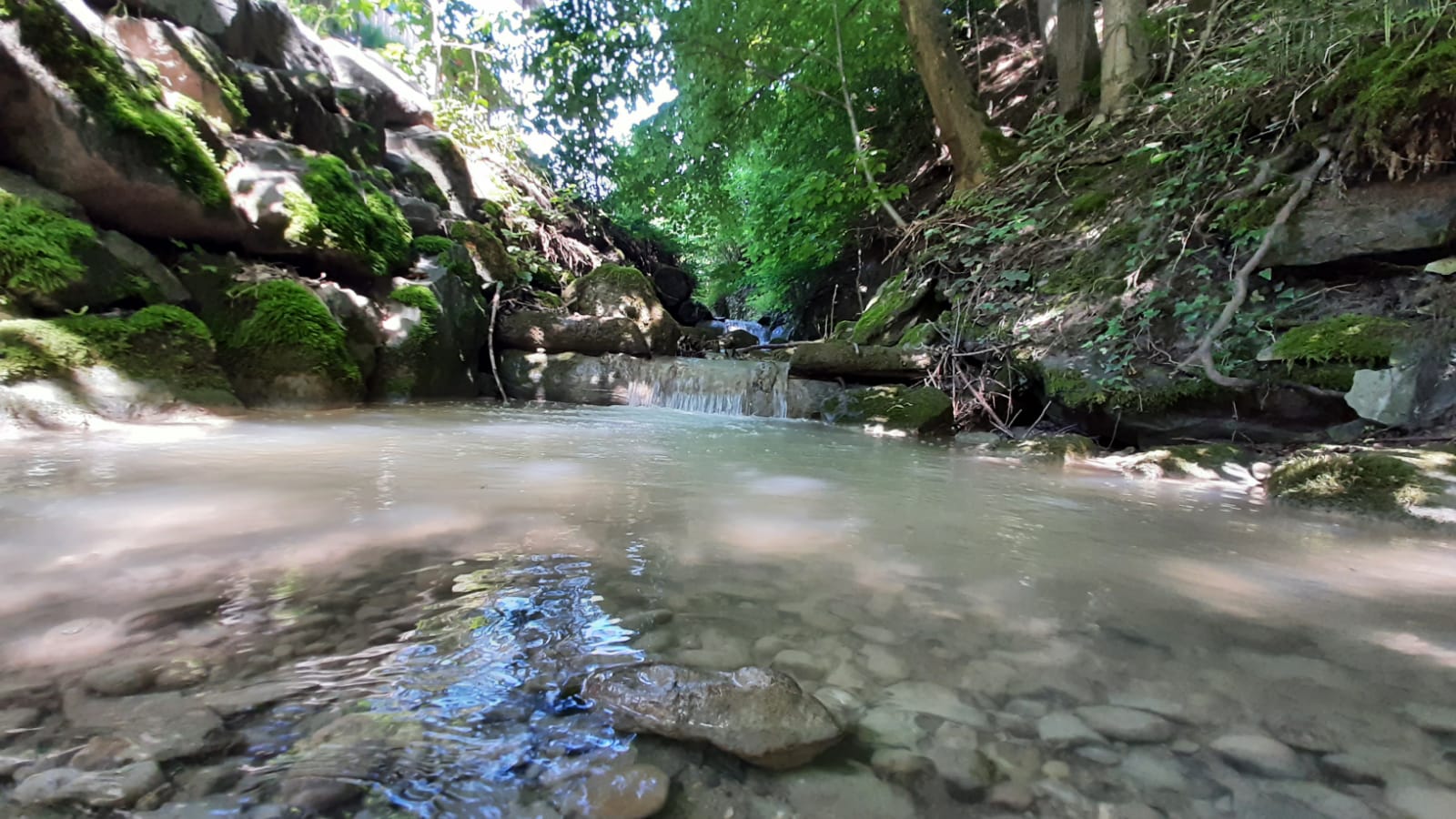 Tändlibach bei Surbrunnematte | Sarina Muff, Ruswil