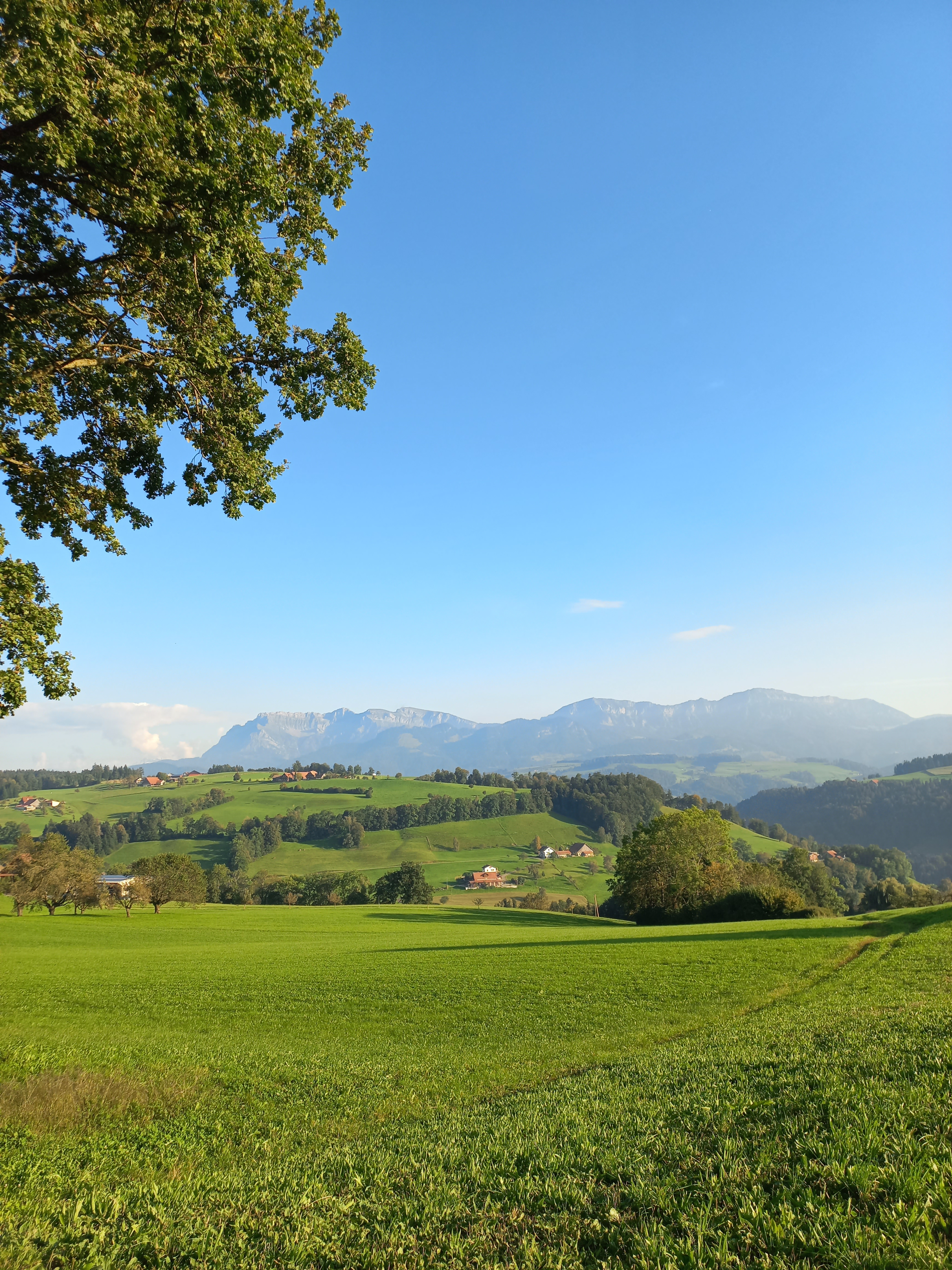 Wunderschöner Blick auf den Pilatus | Seraina Fuchs, Ruswil 
