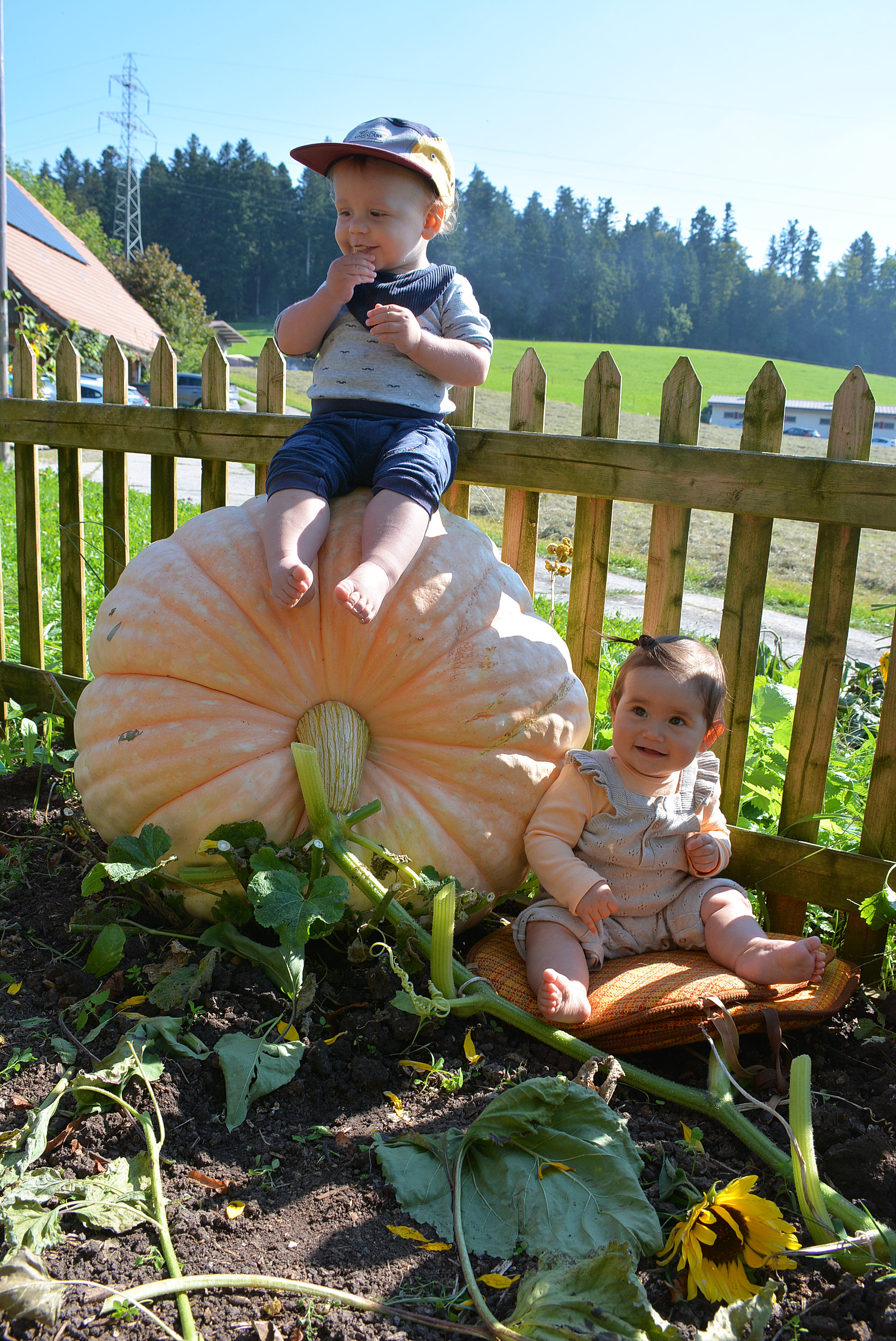 Noah und Yara erfreuen sich am Riesenkürbis in Ruswil  | Irene Geisseler, Ruswil 